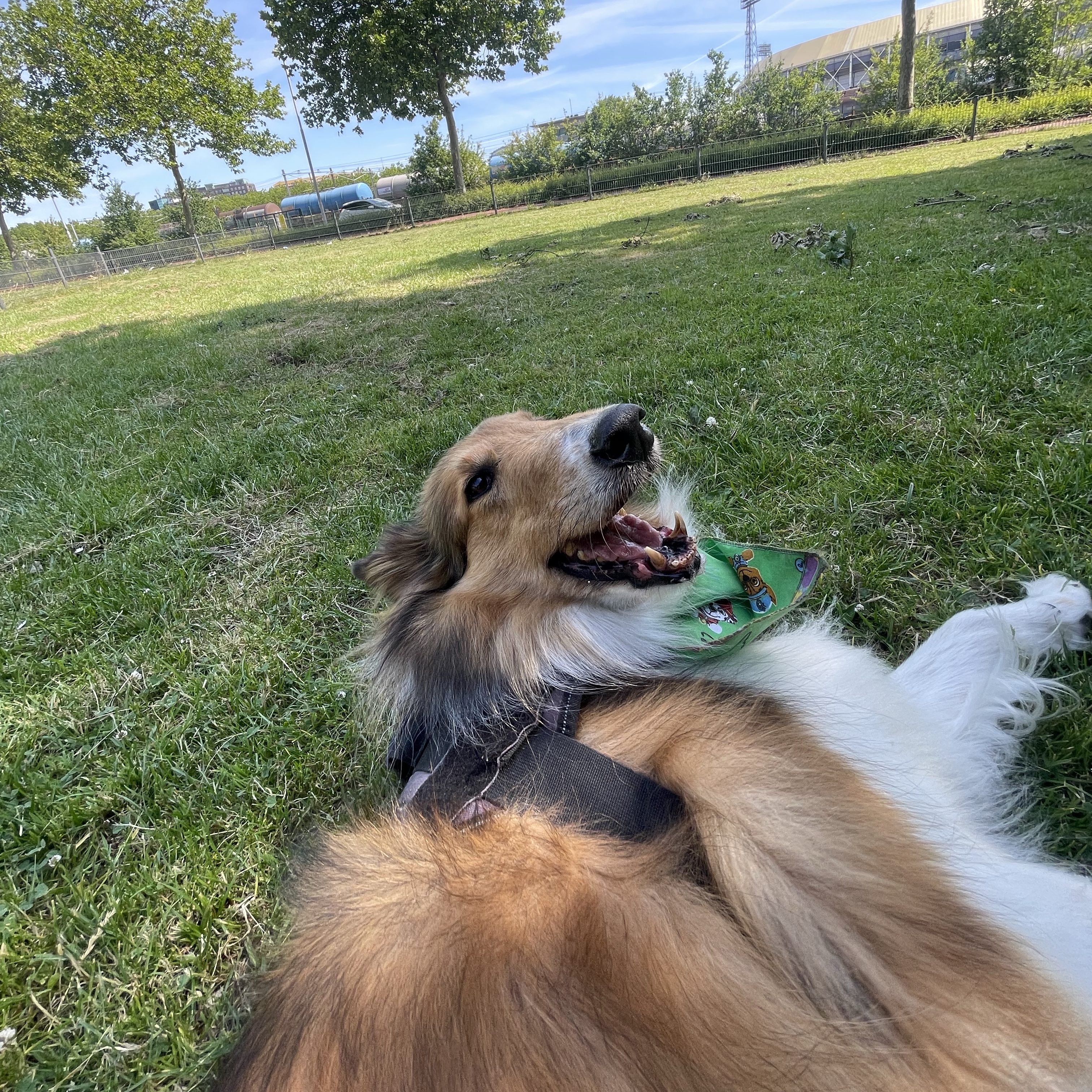 Jack
