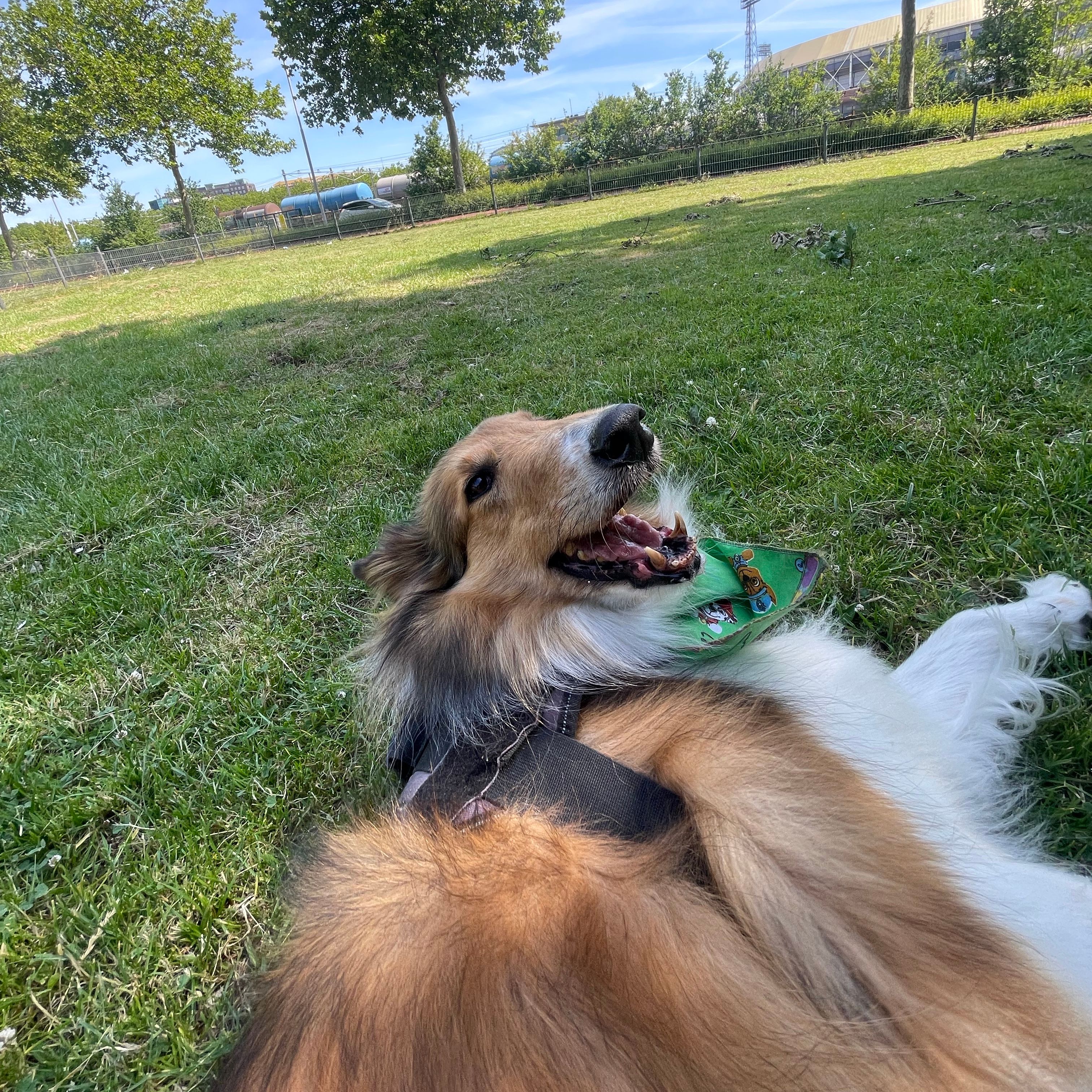 Jack