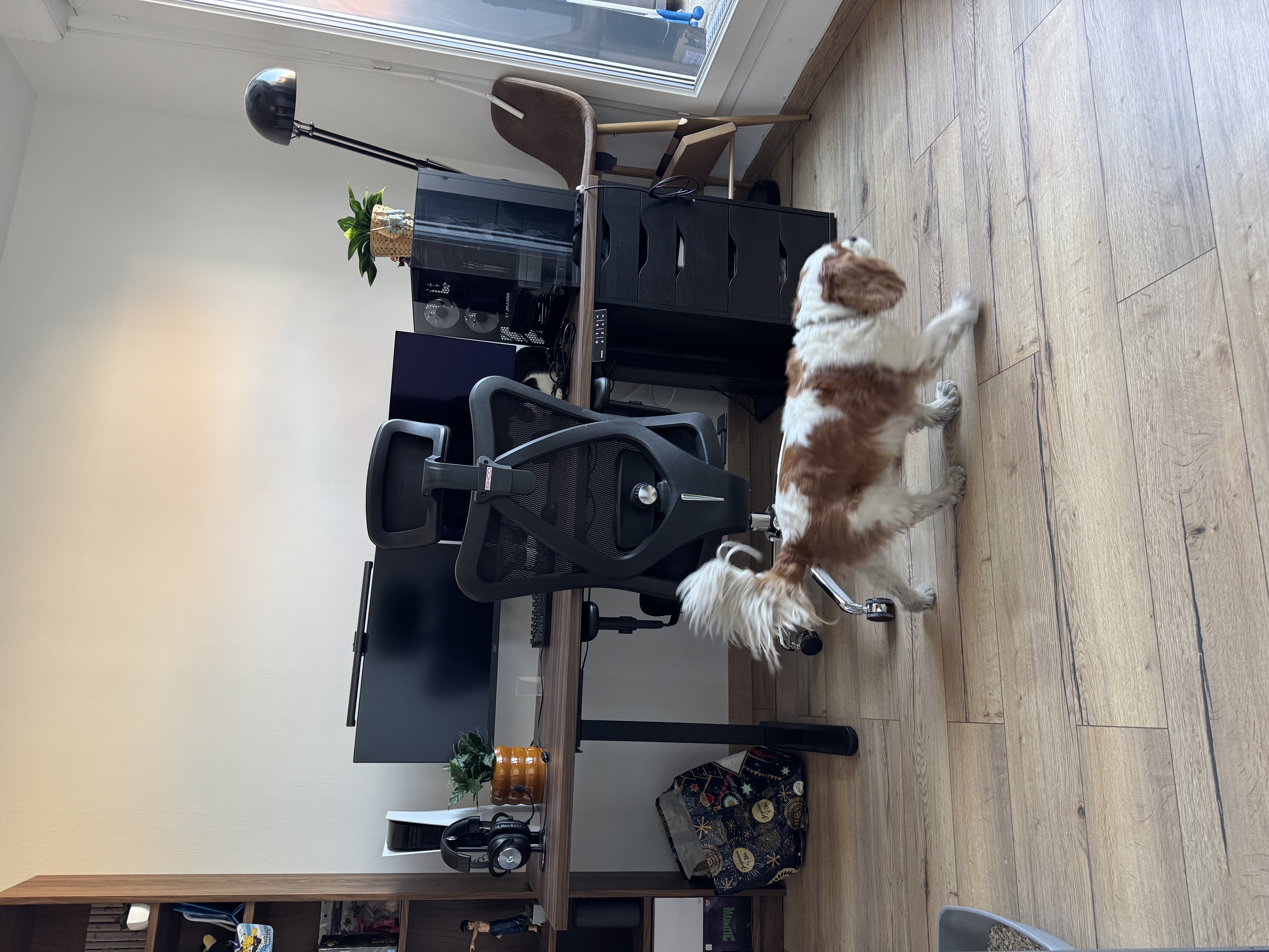 image-11