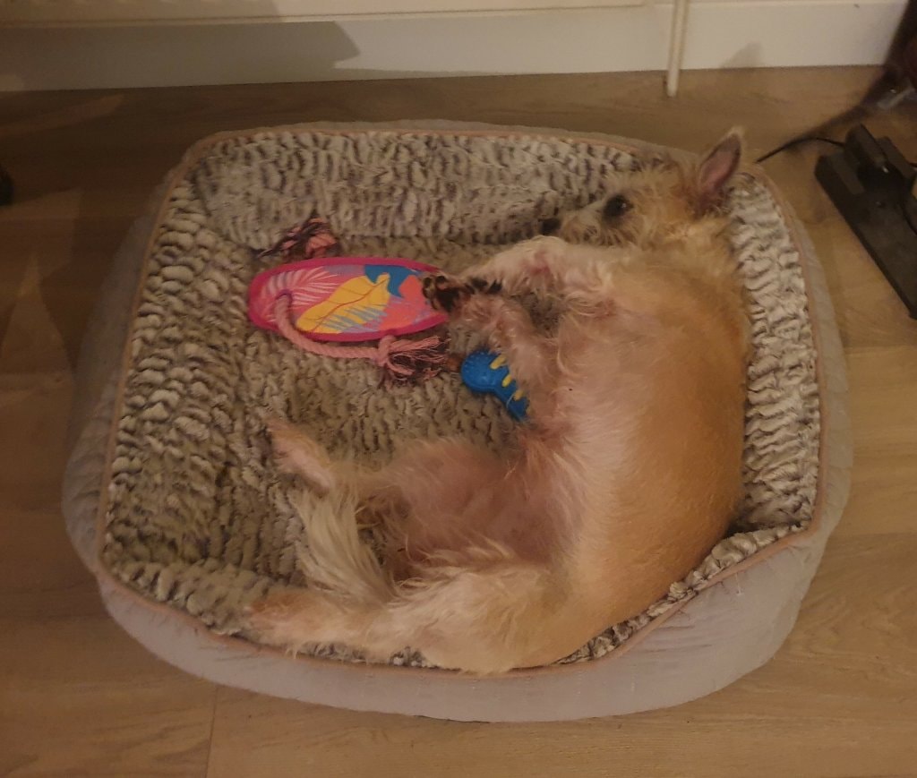 image-42