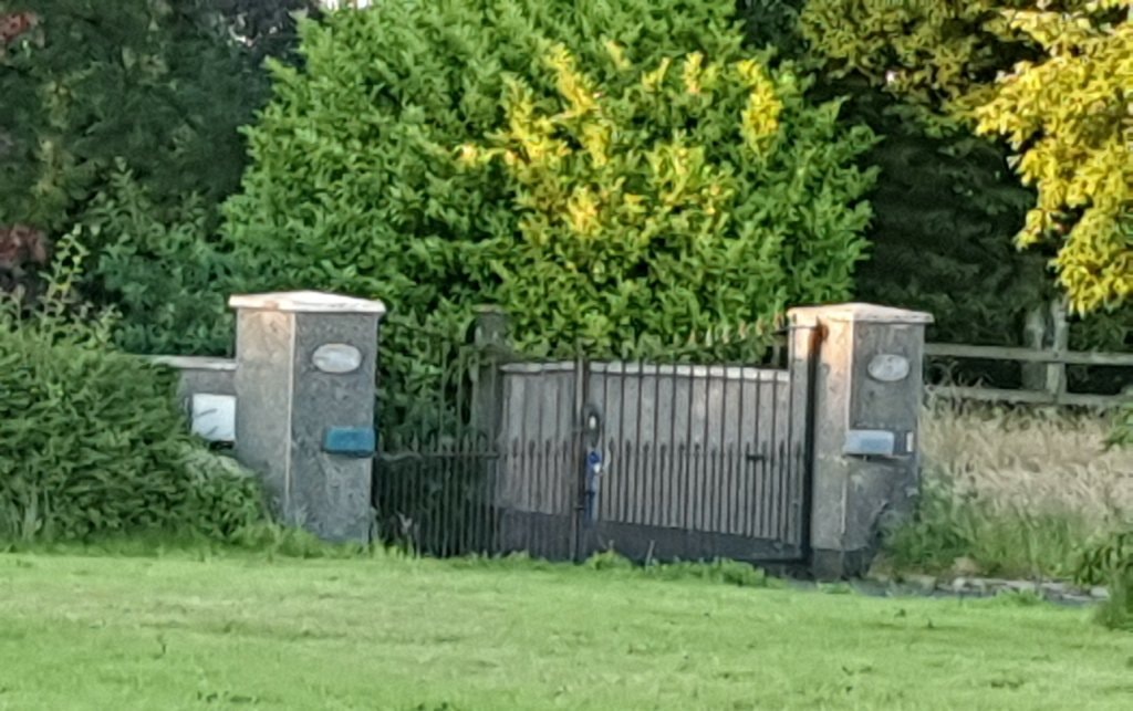 image-50