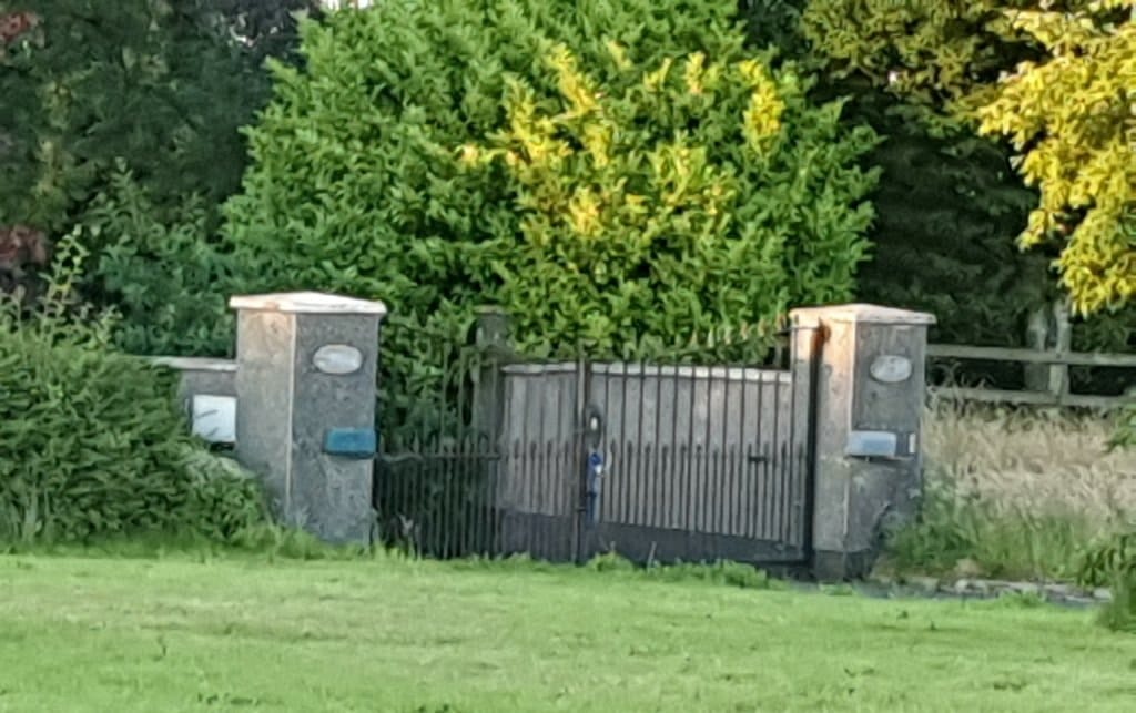 image-50