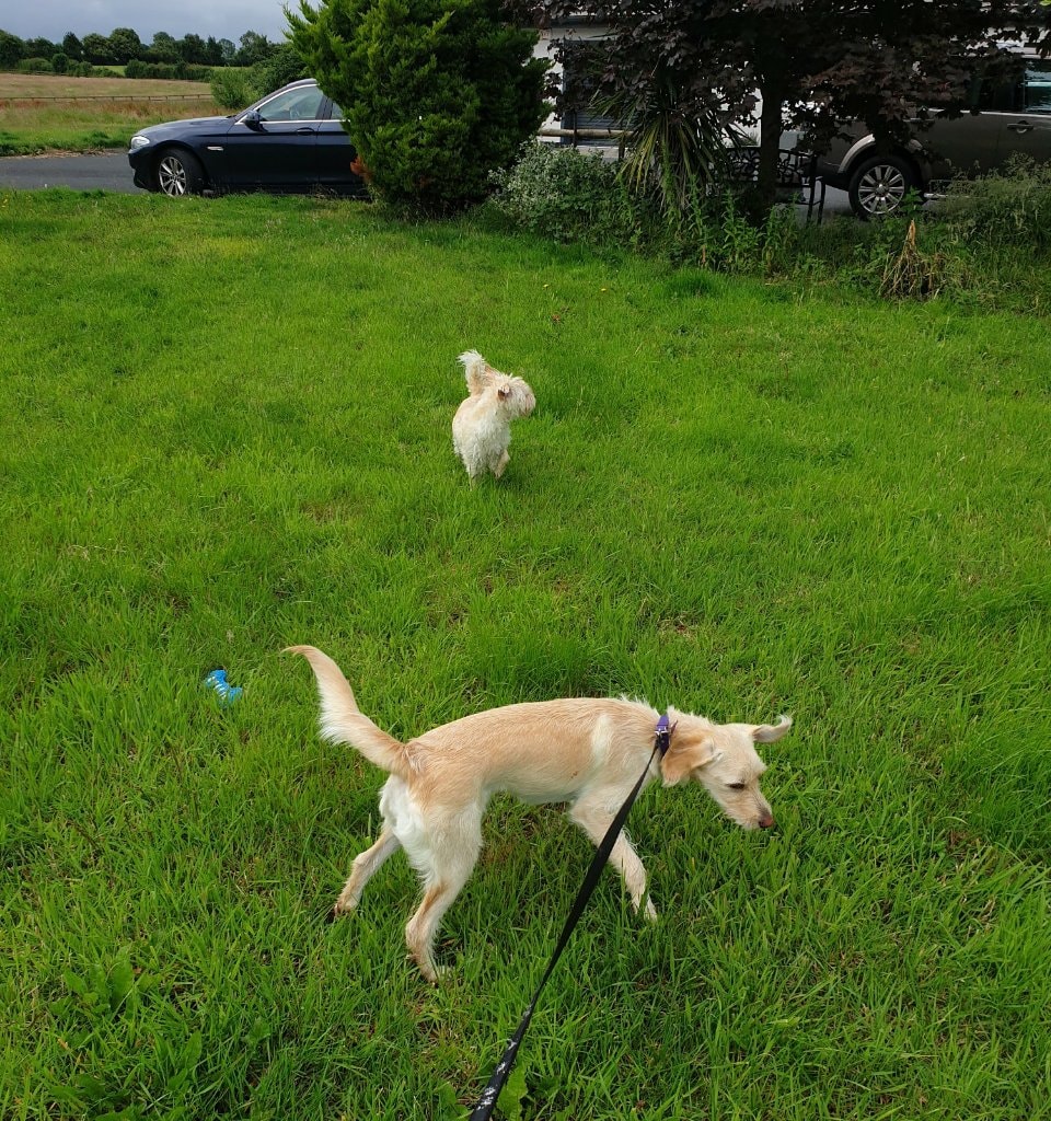 image-35