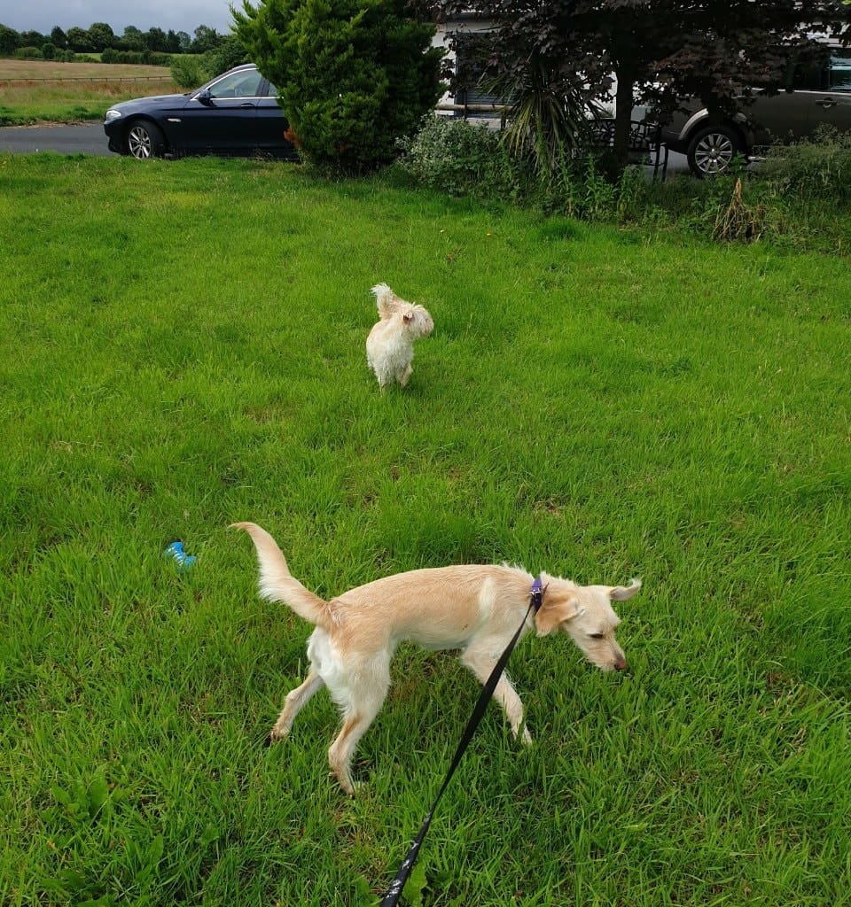 image-35