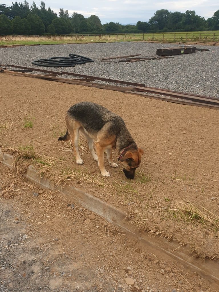 image-60