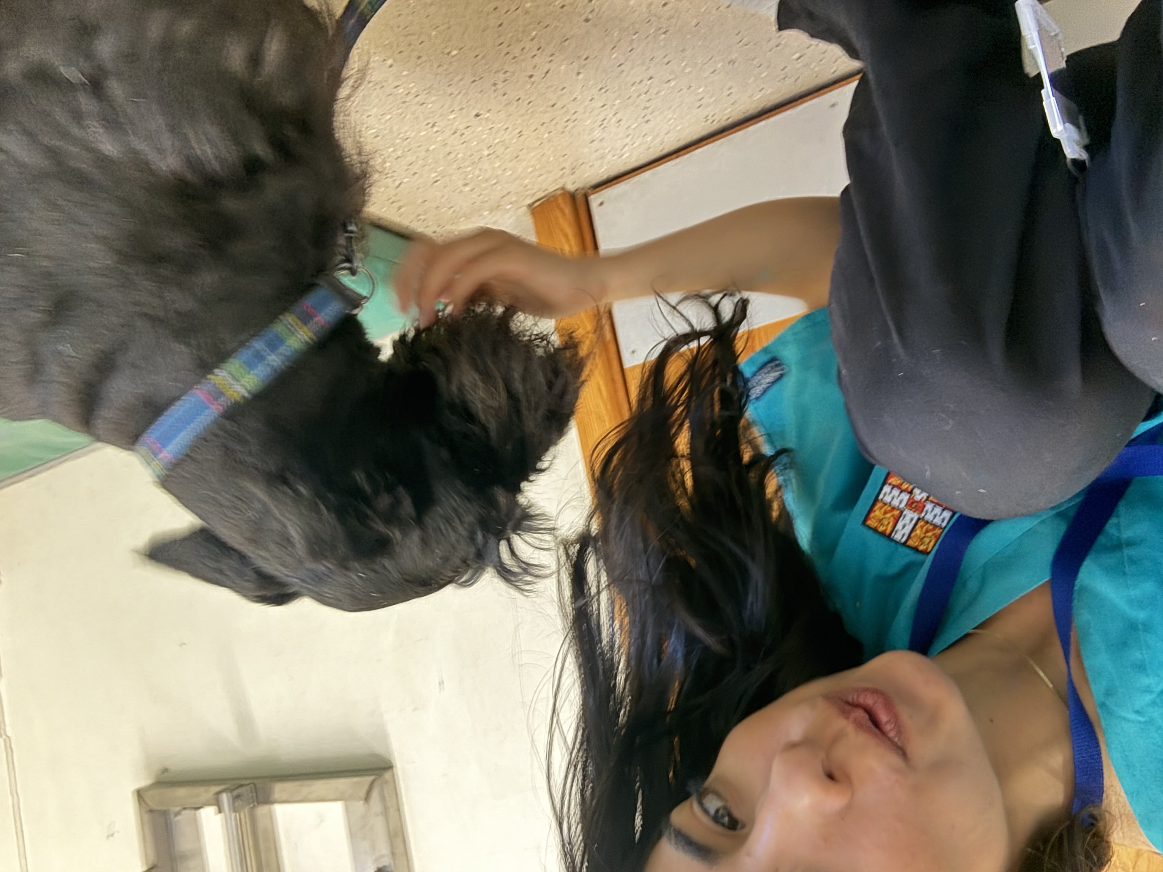 image-11
