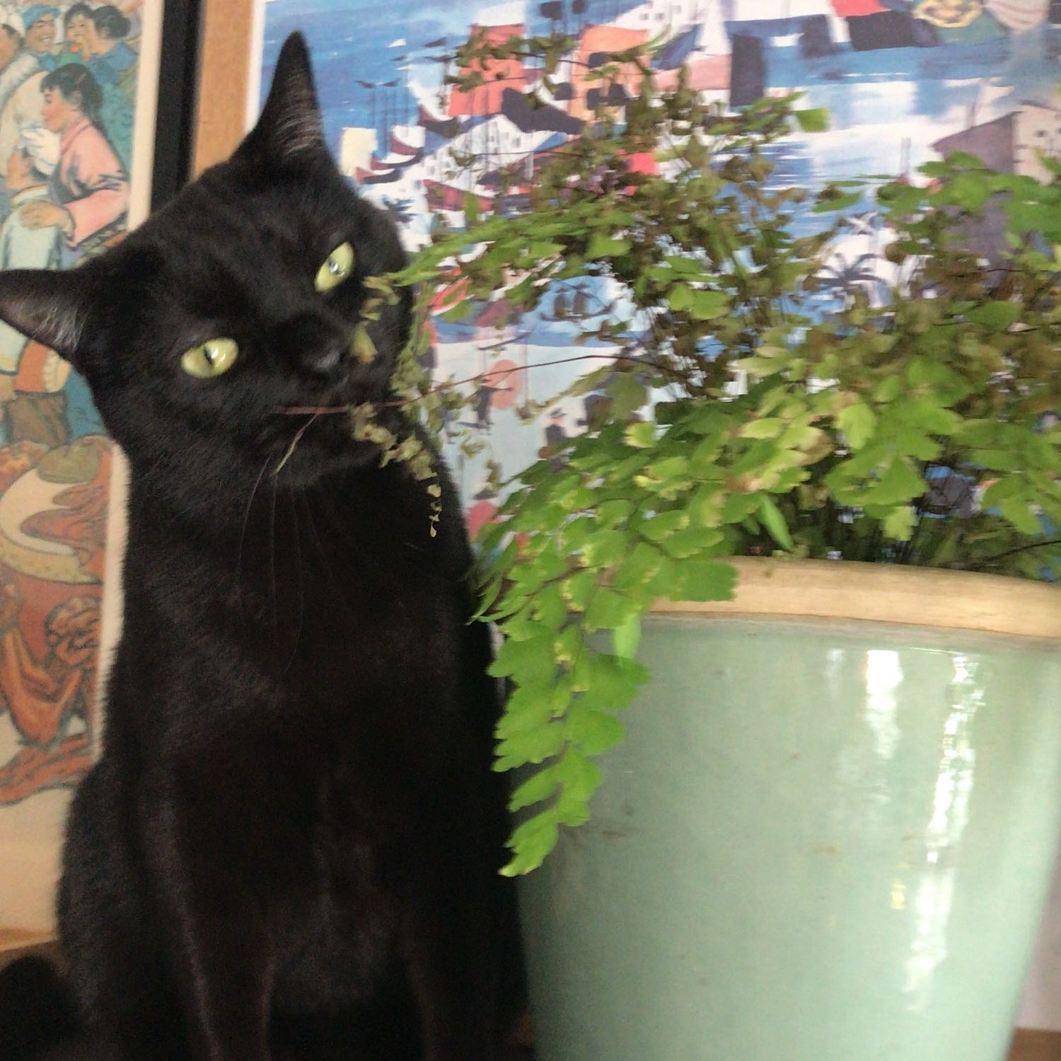 KMK aka Kiki aka Jean Bedel Bockachat