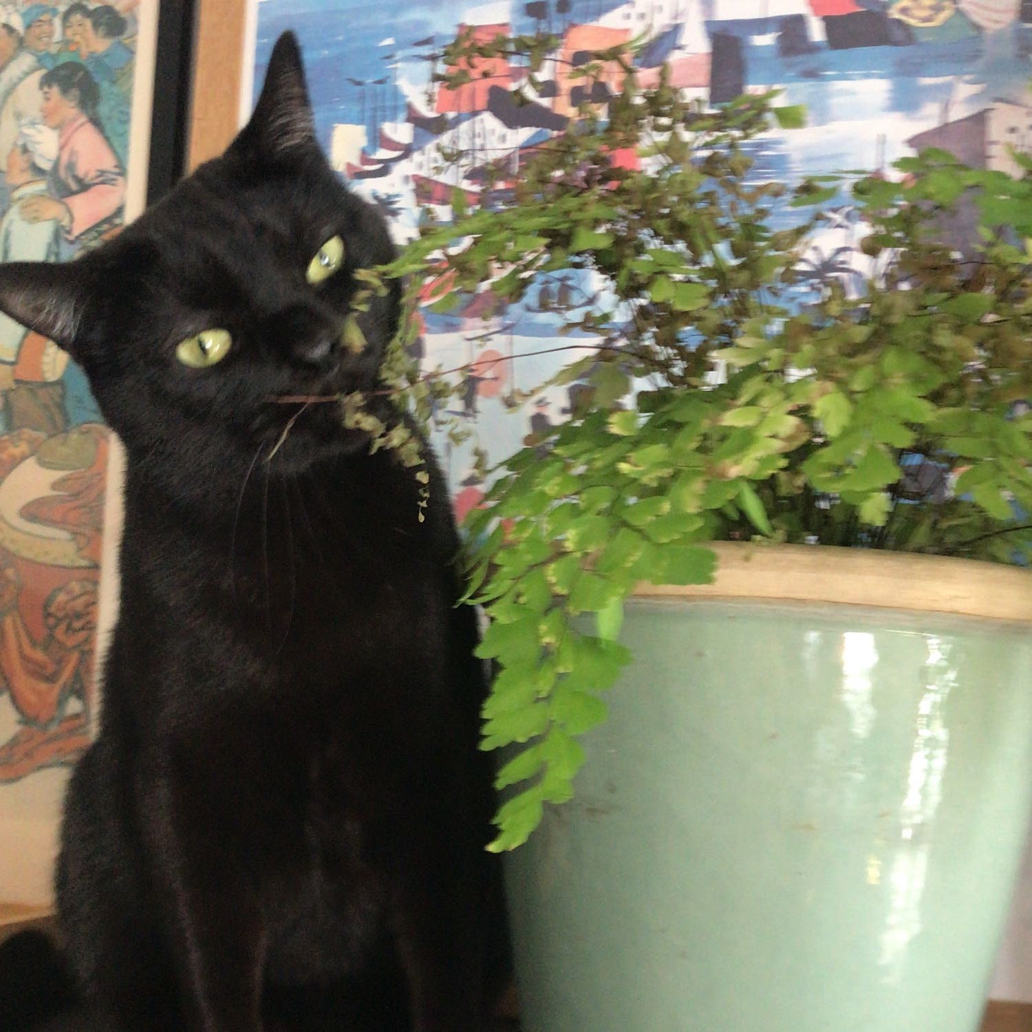 KMK aka Kiki aka Jean Bedel Bockachat