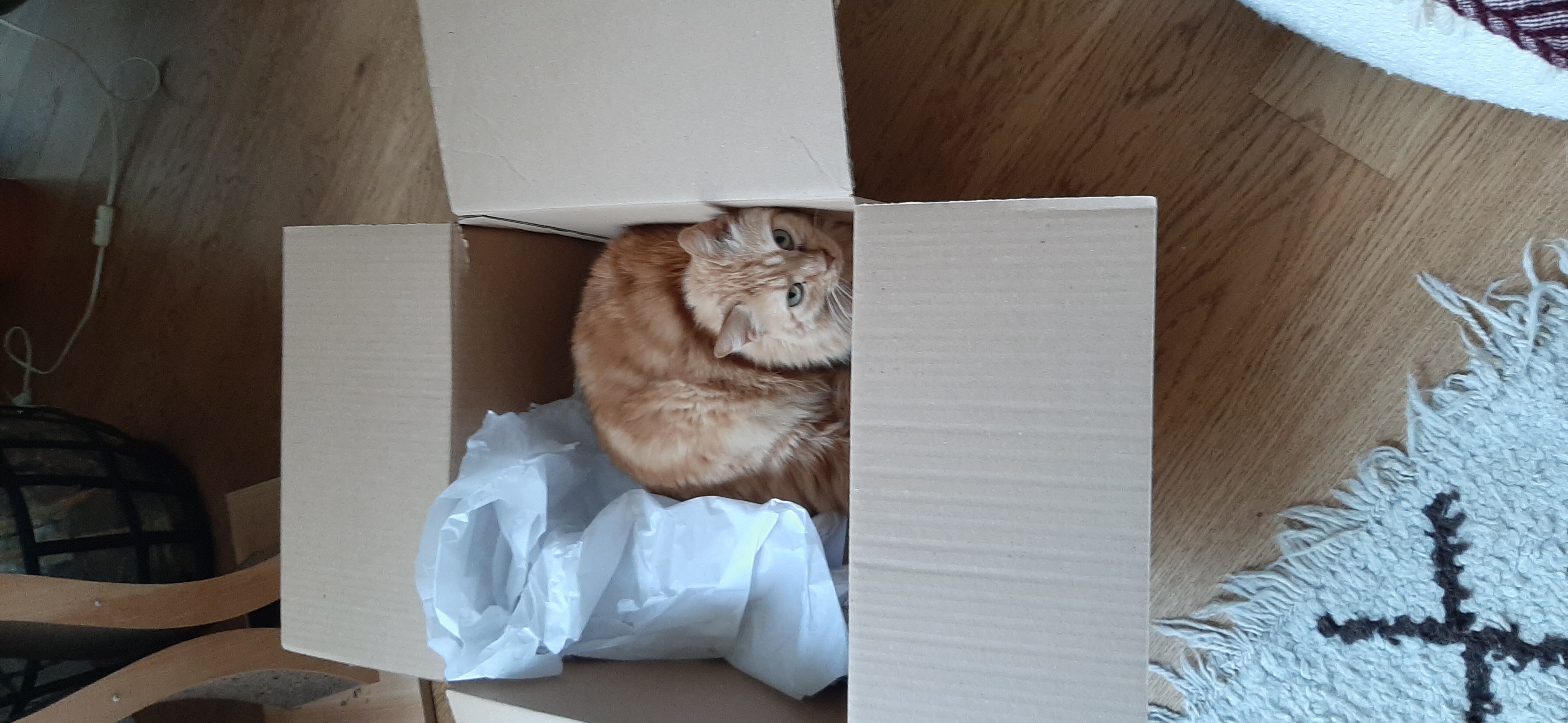 image-6