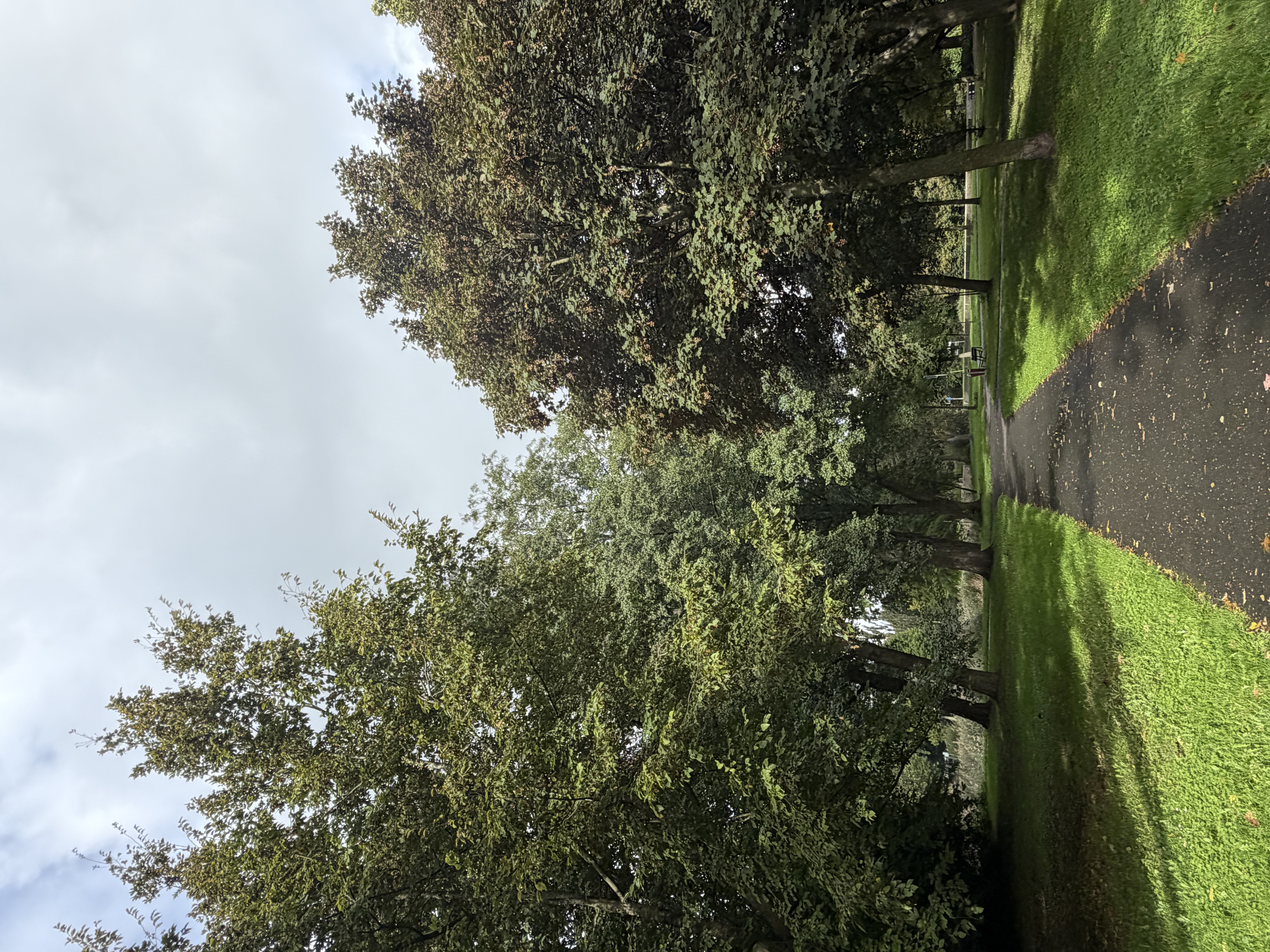 image-20