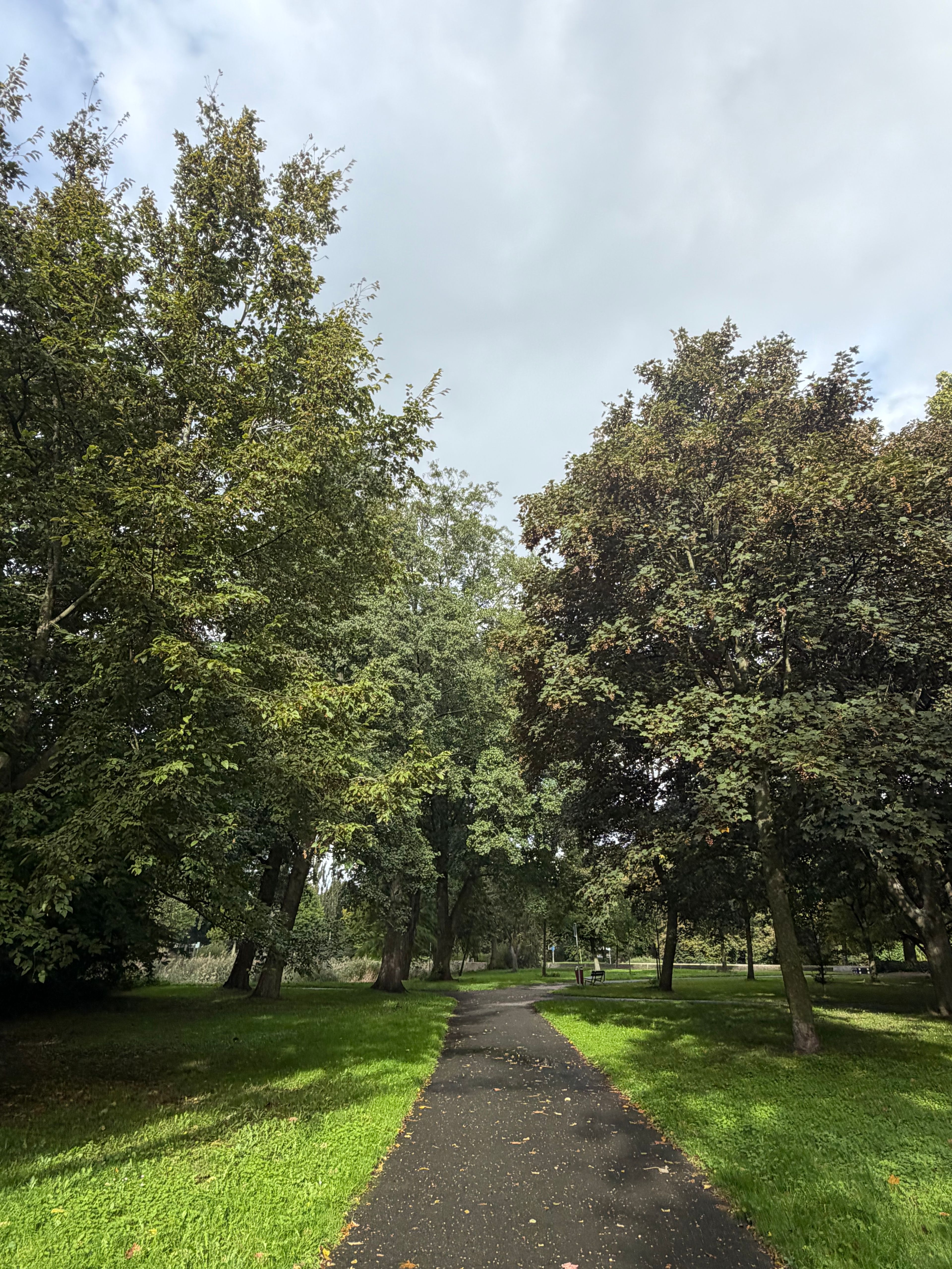 image-20
