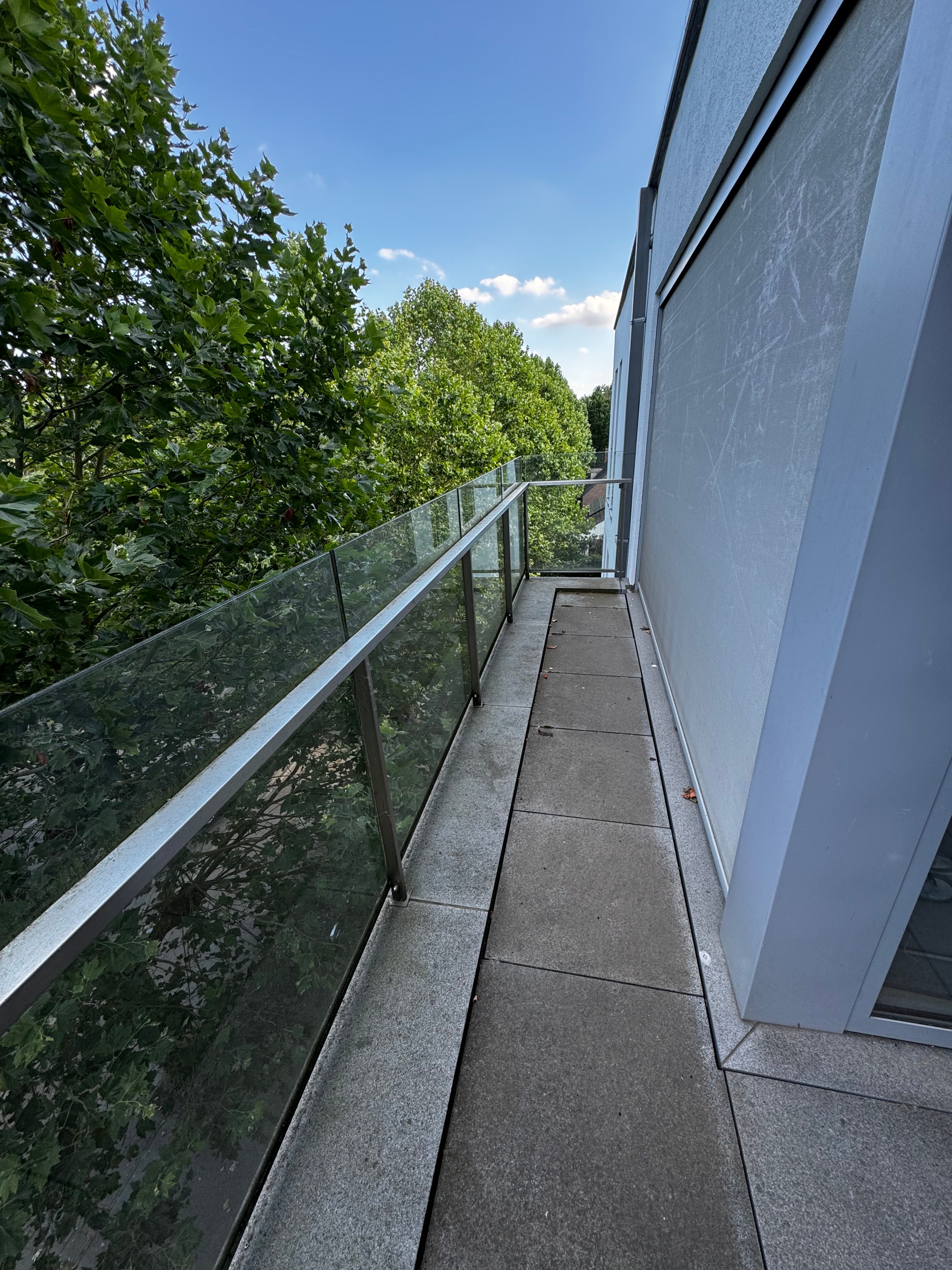 image-20
