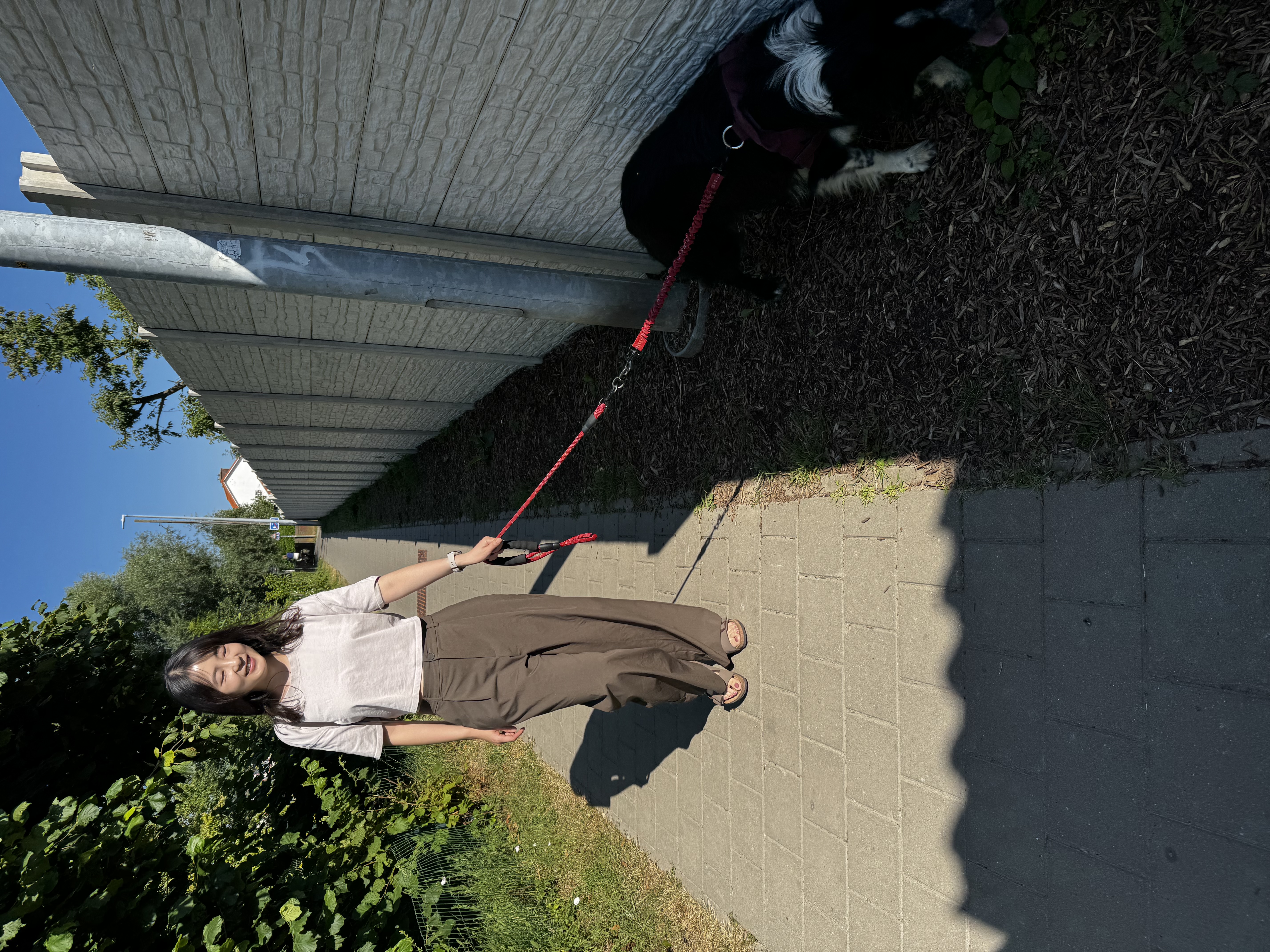 image-14