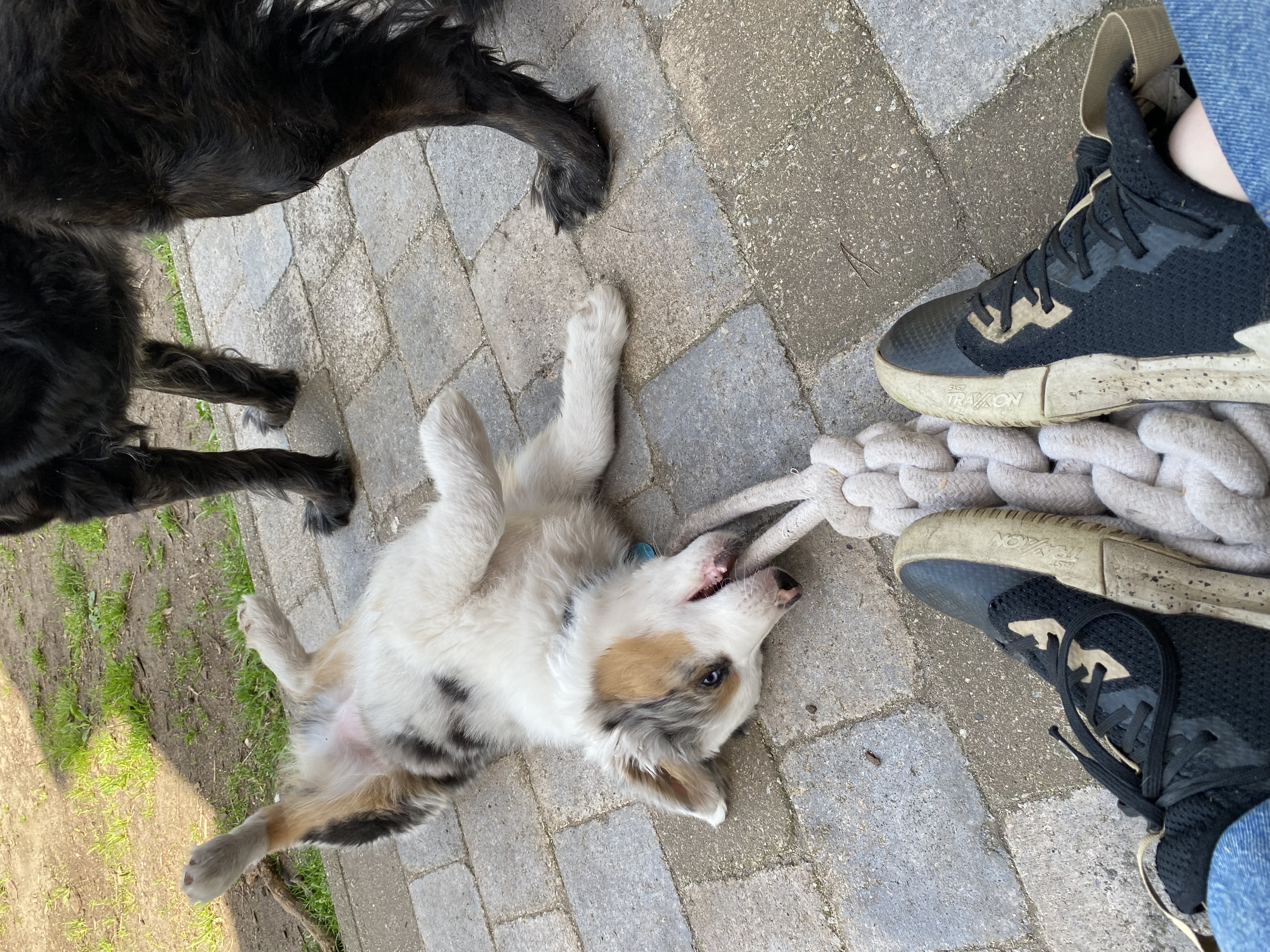 image-10