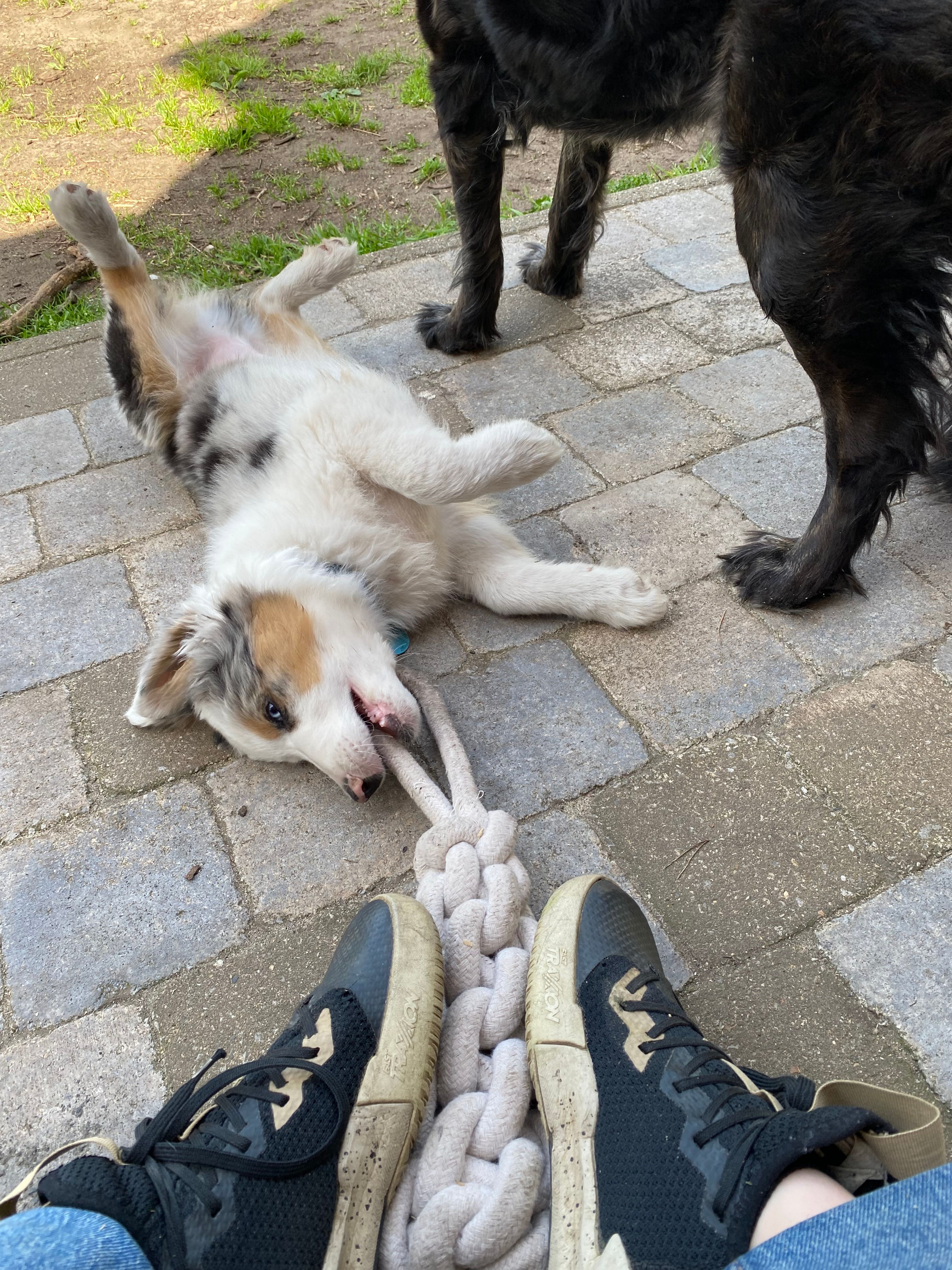 image-10