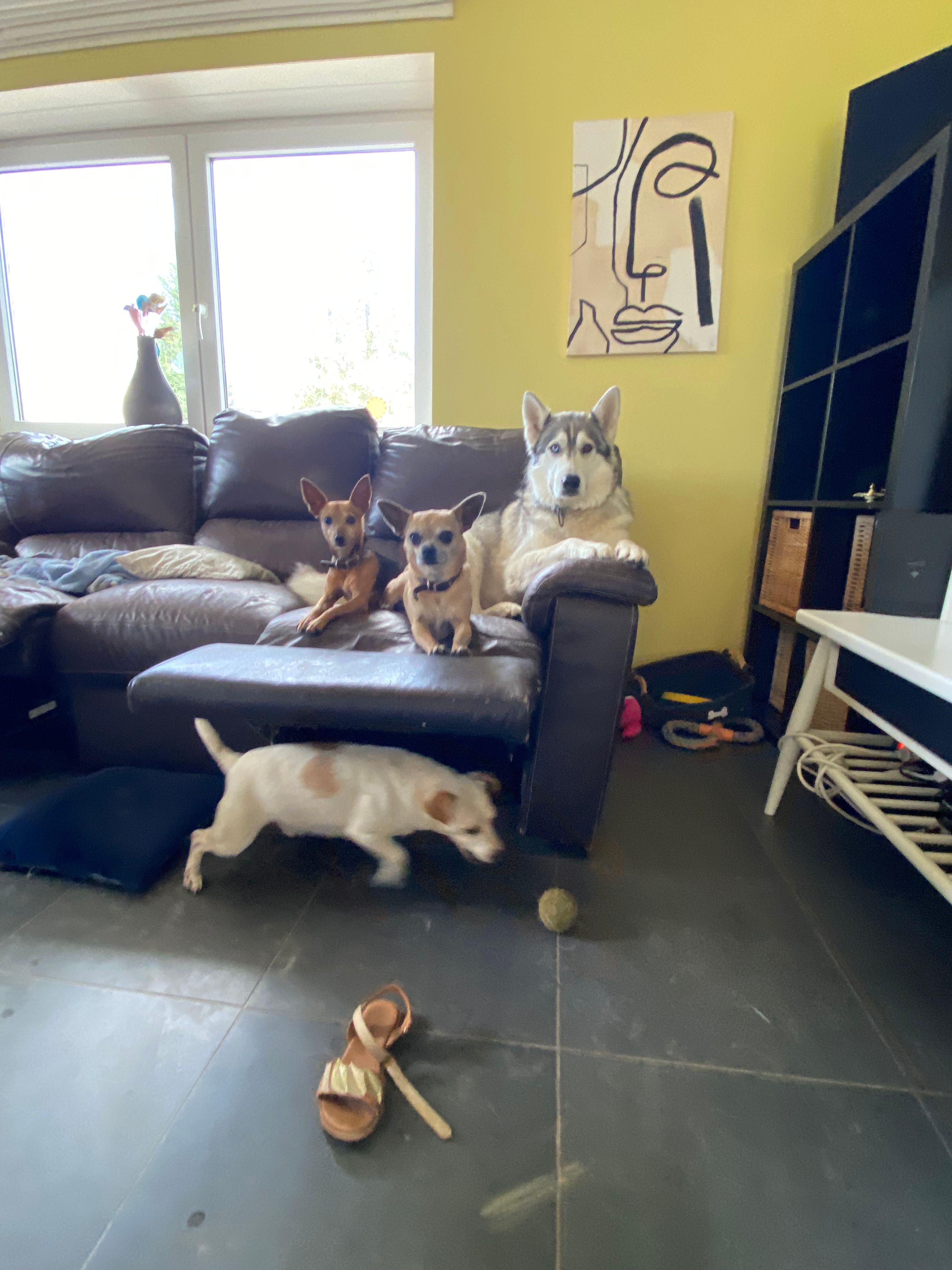 image-6