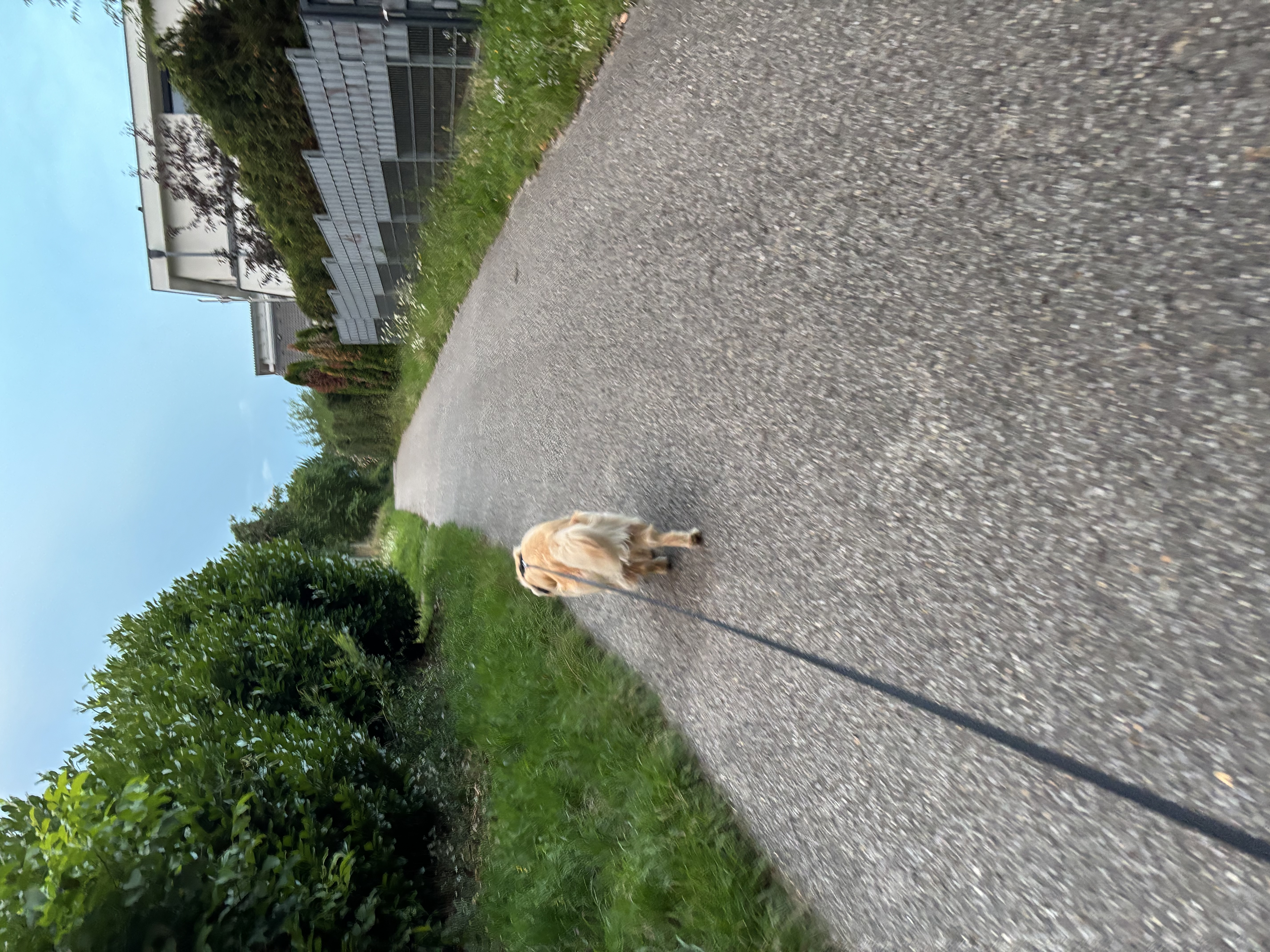 image-18