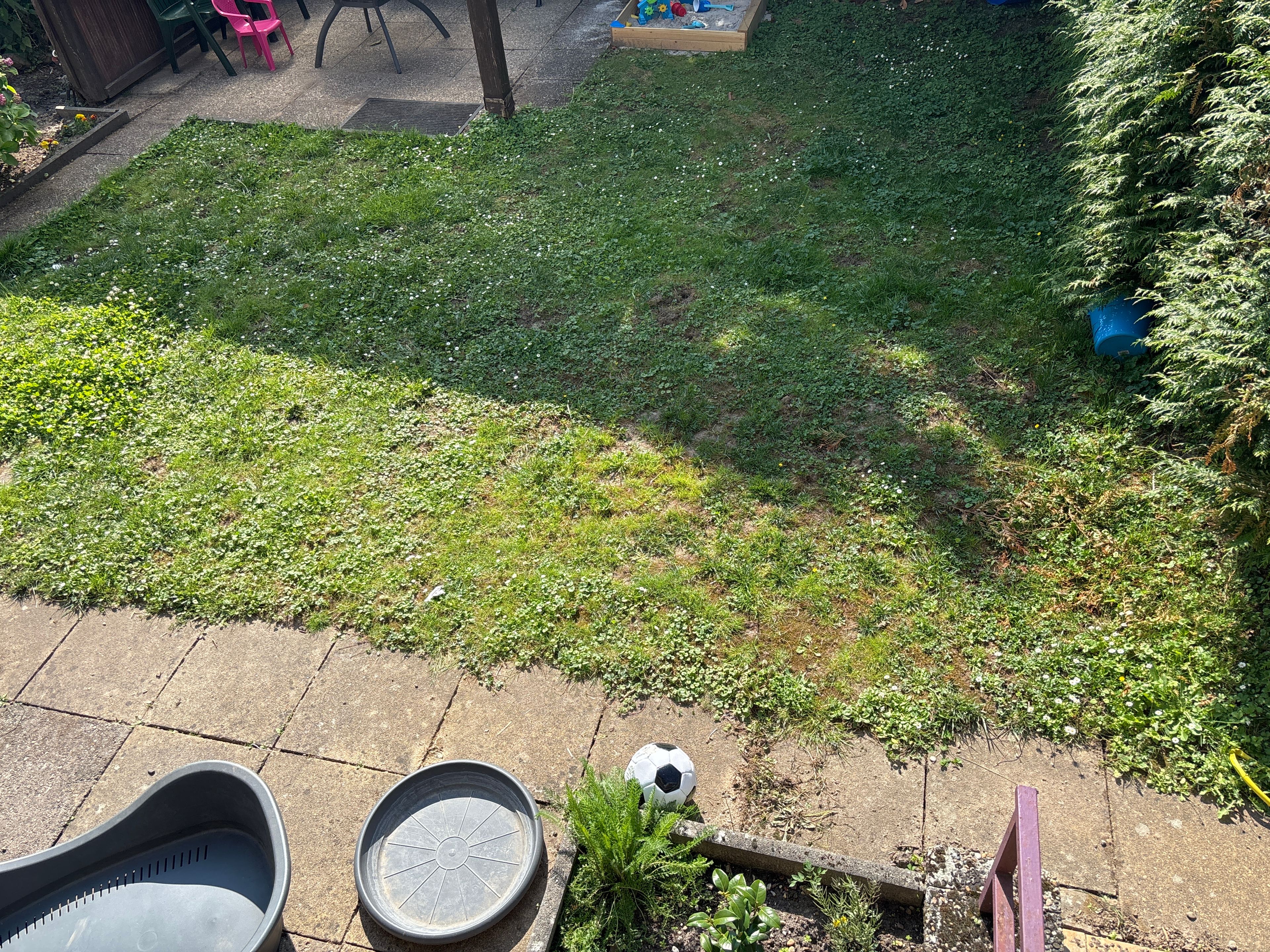 image-15