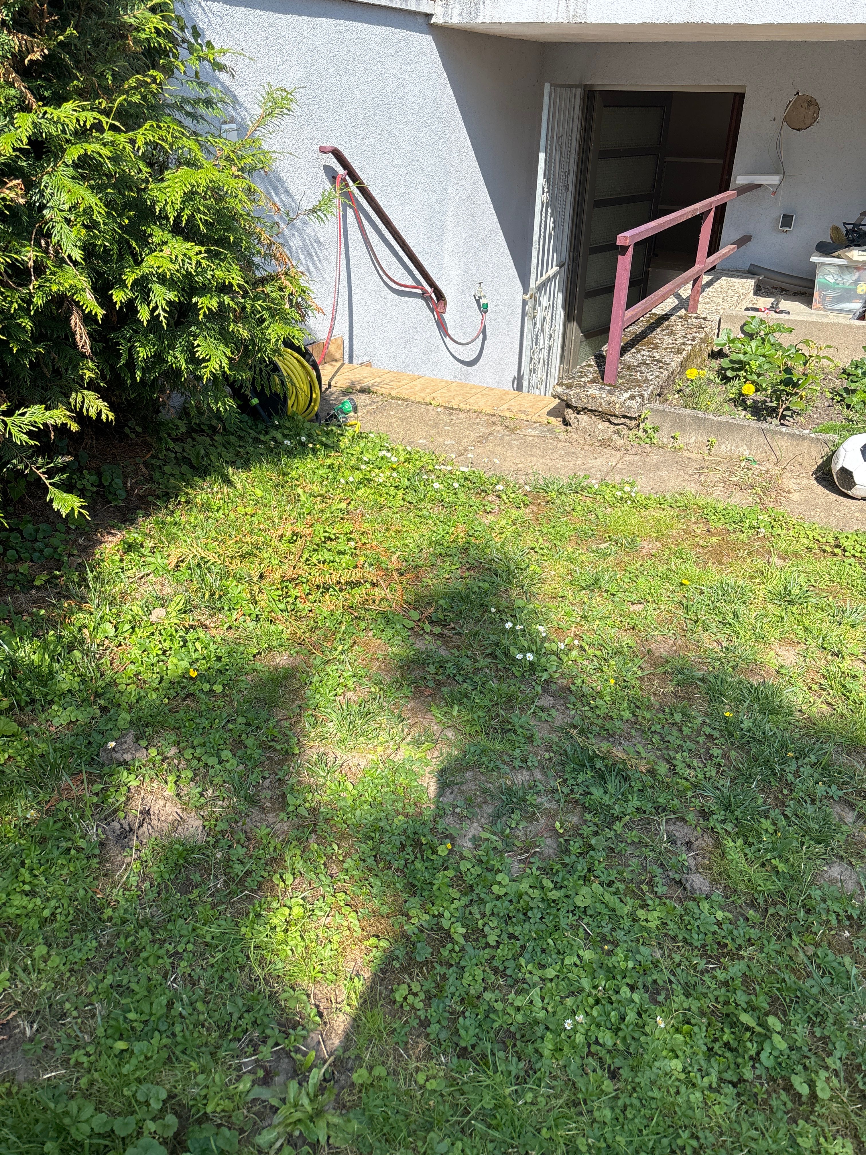 image-16