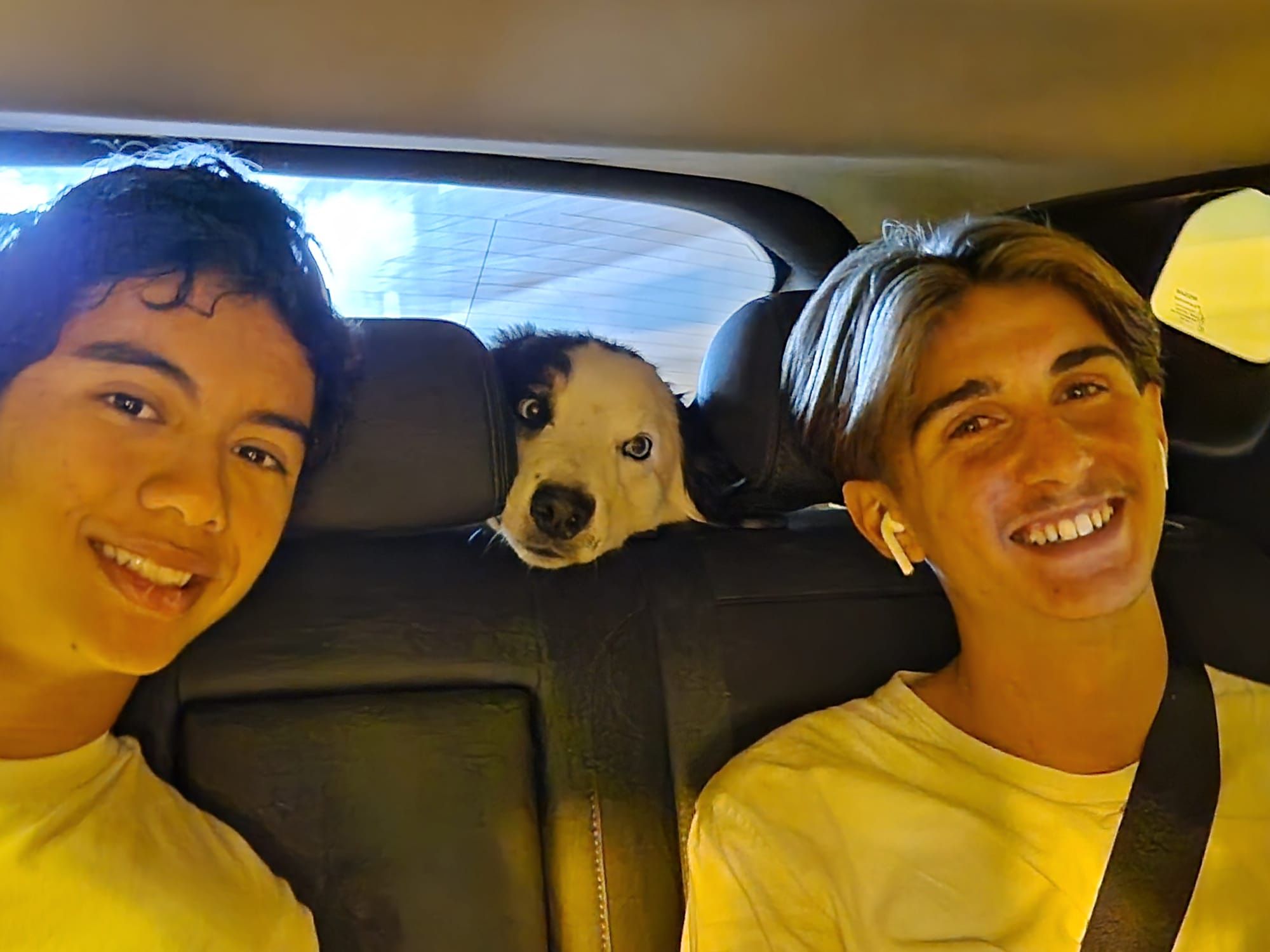 image-8
