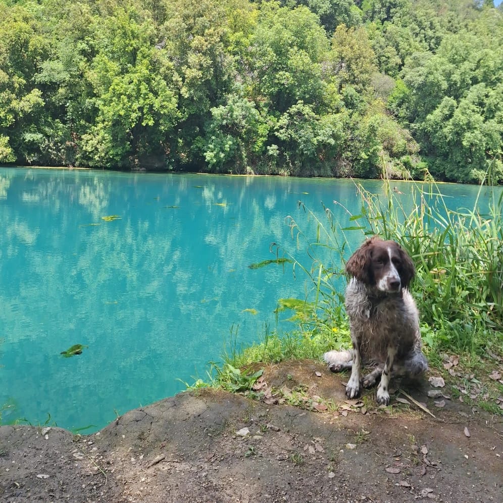 Milù