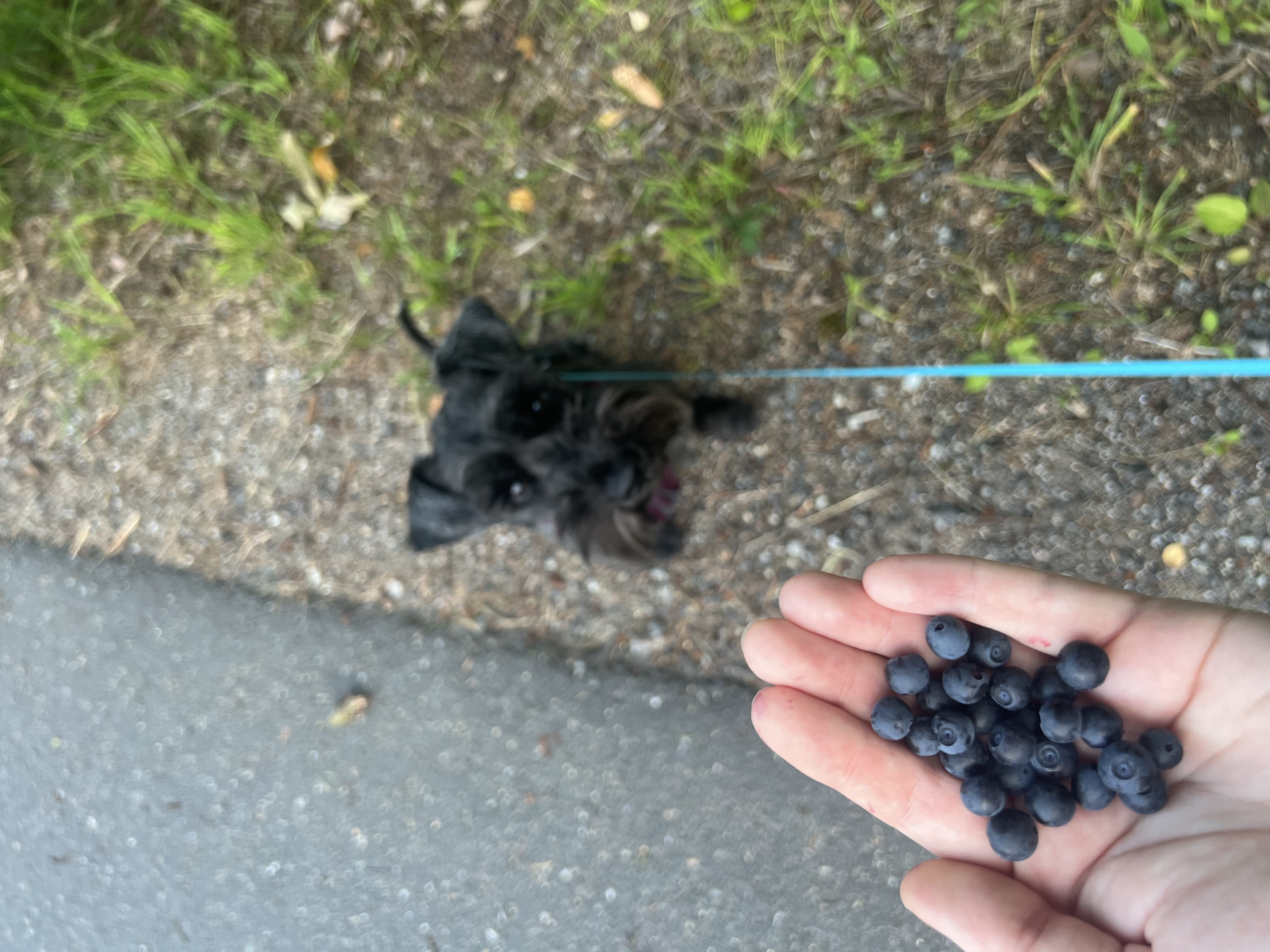 image-9