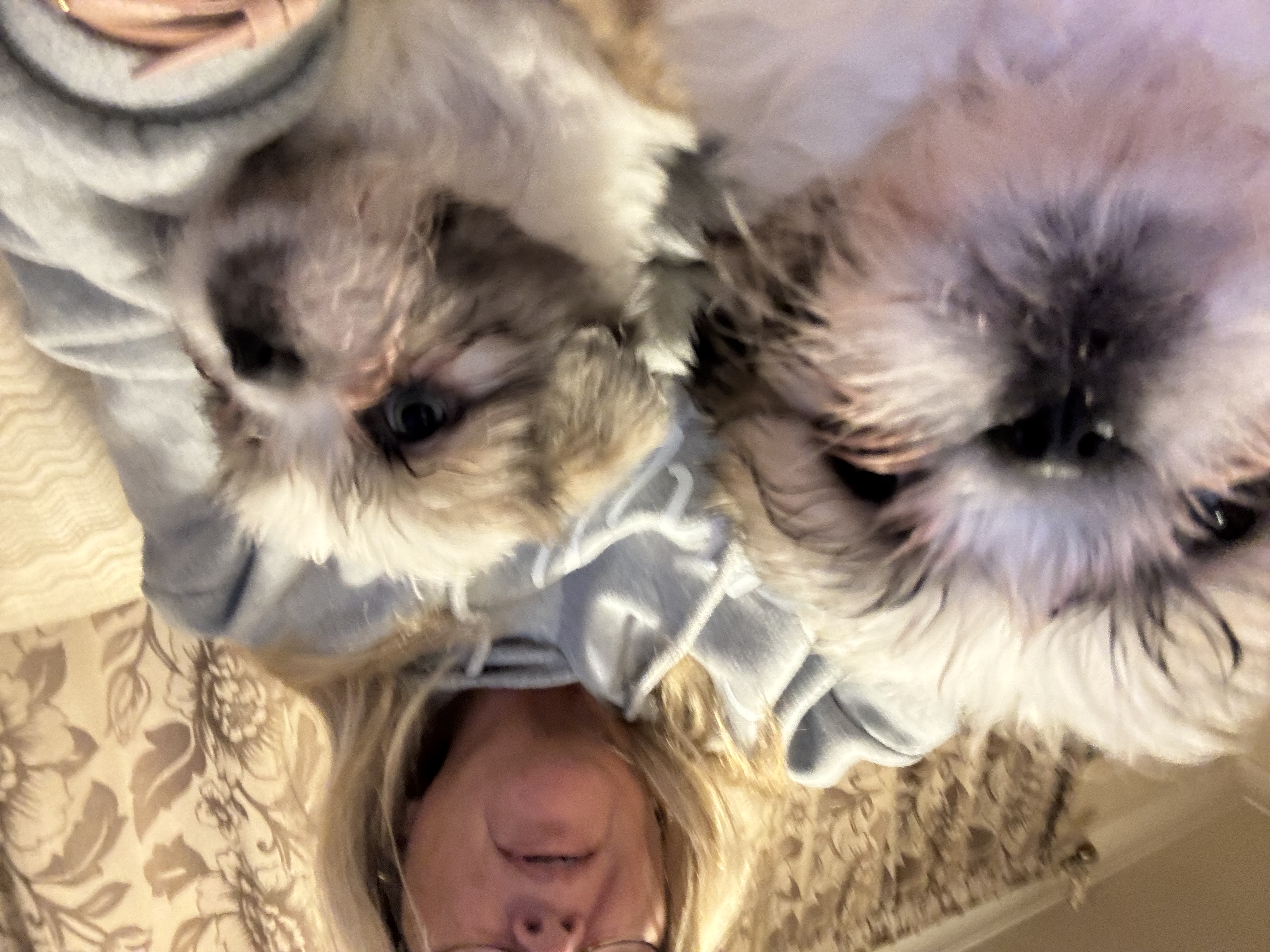 image-6