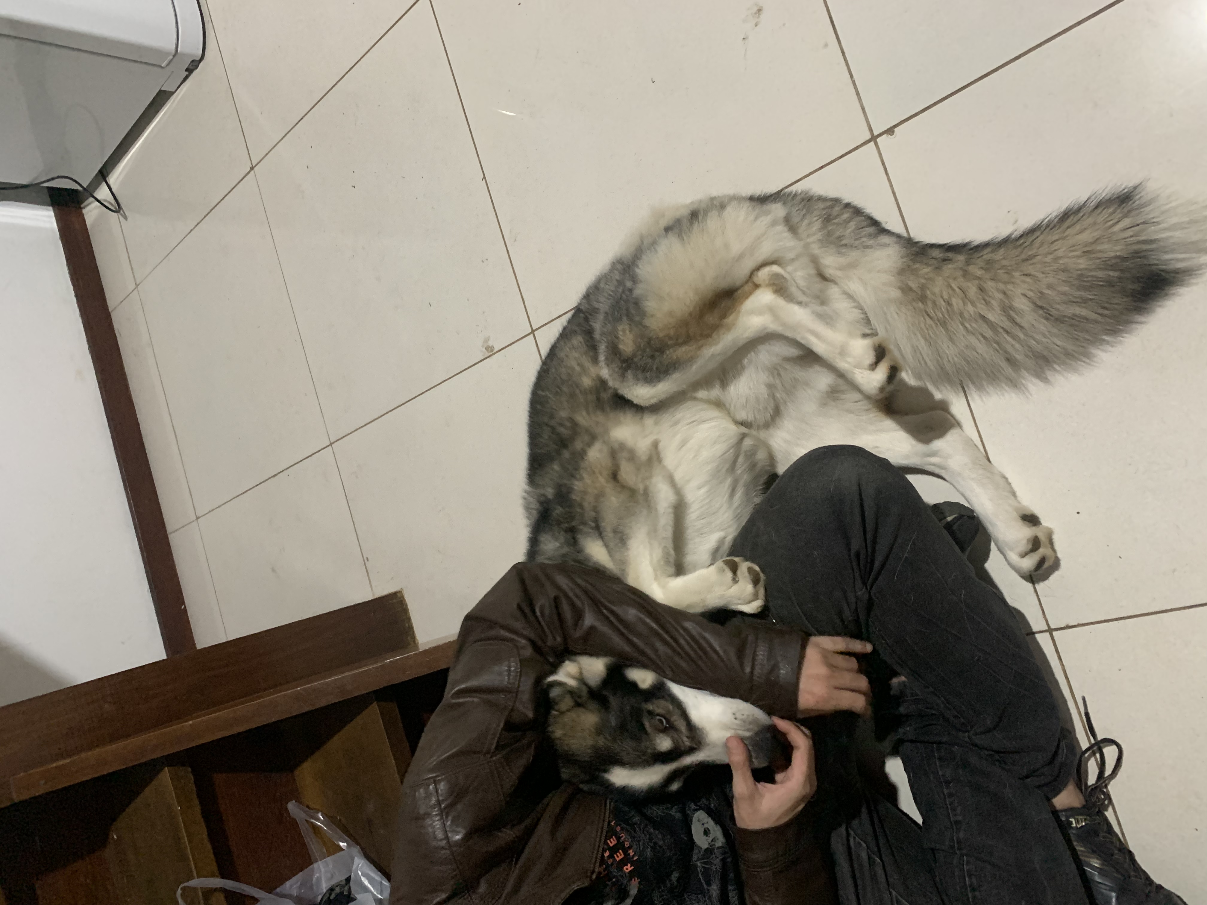 image-7