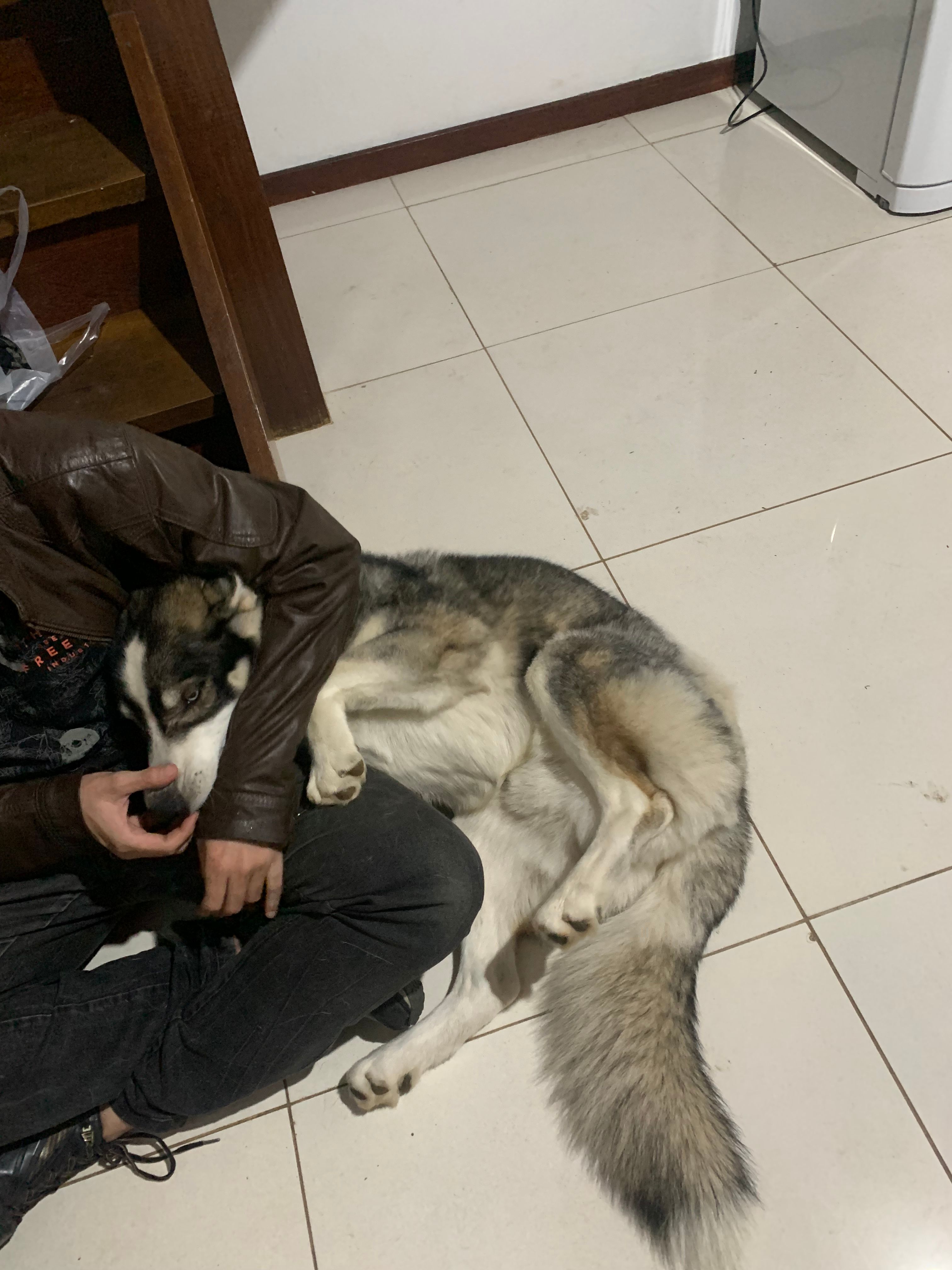 image-7