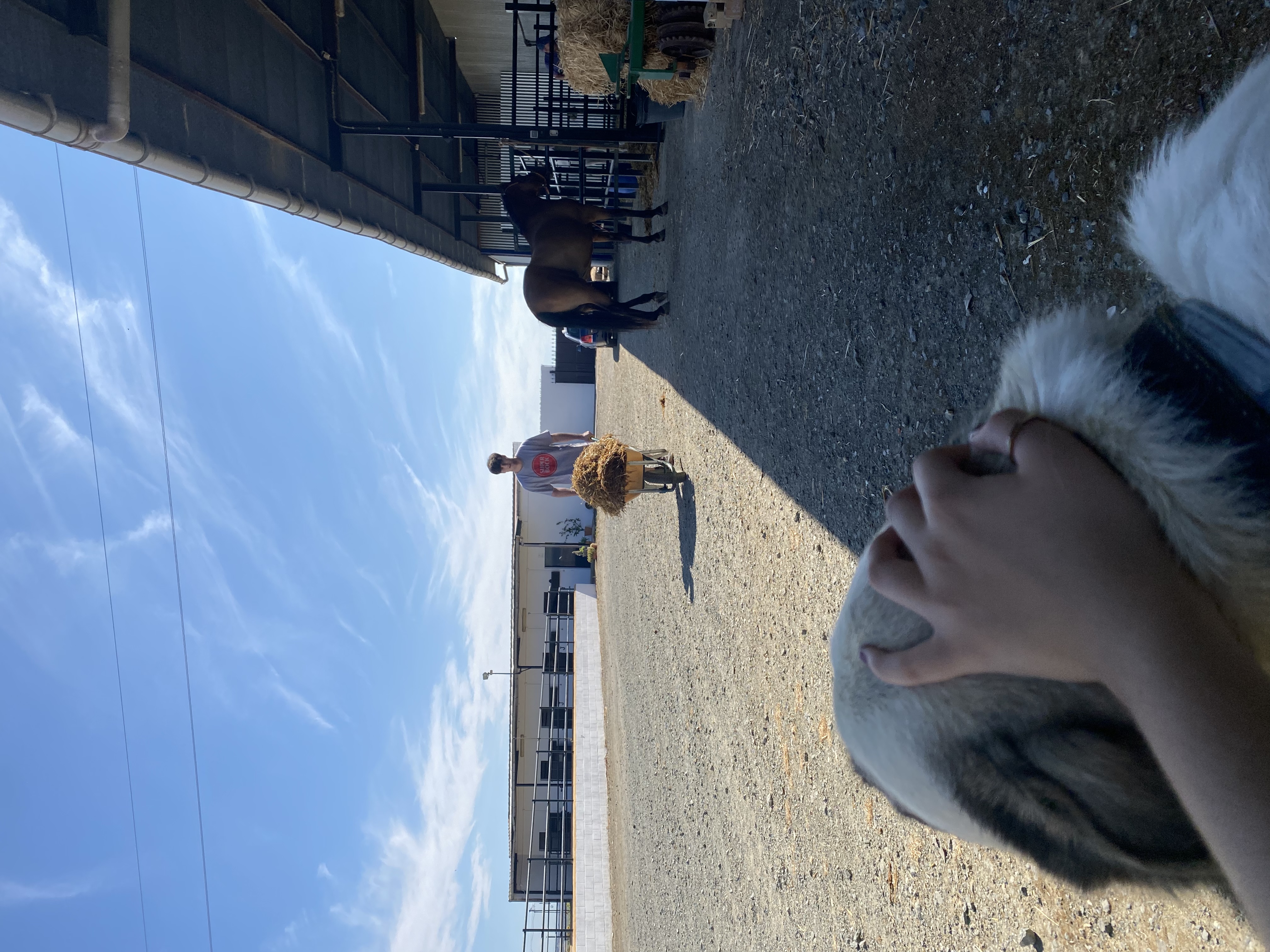 image-16