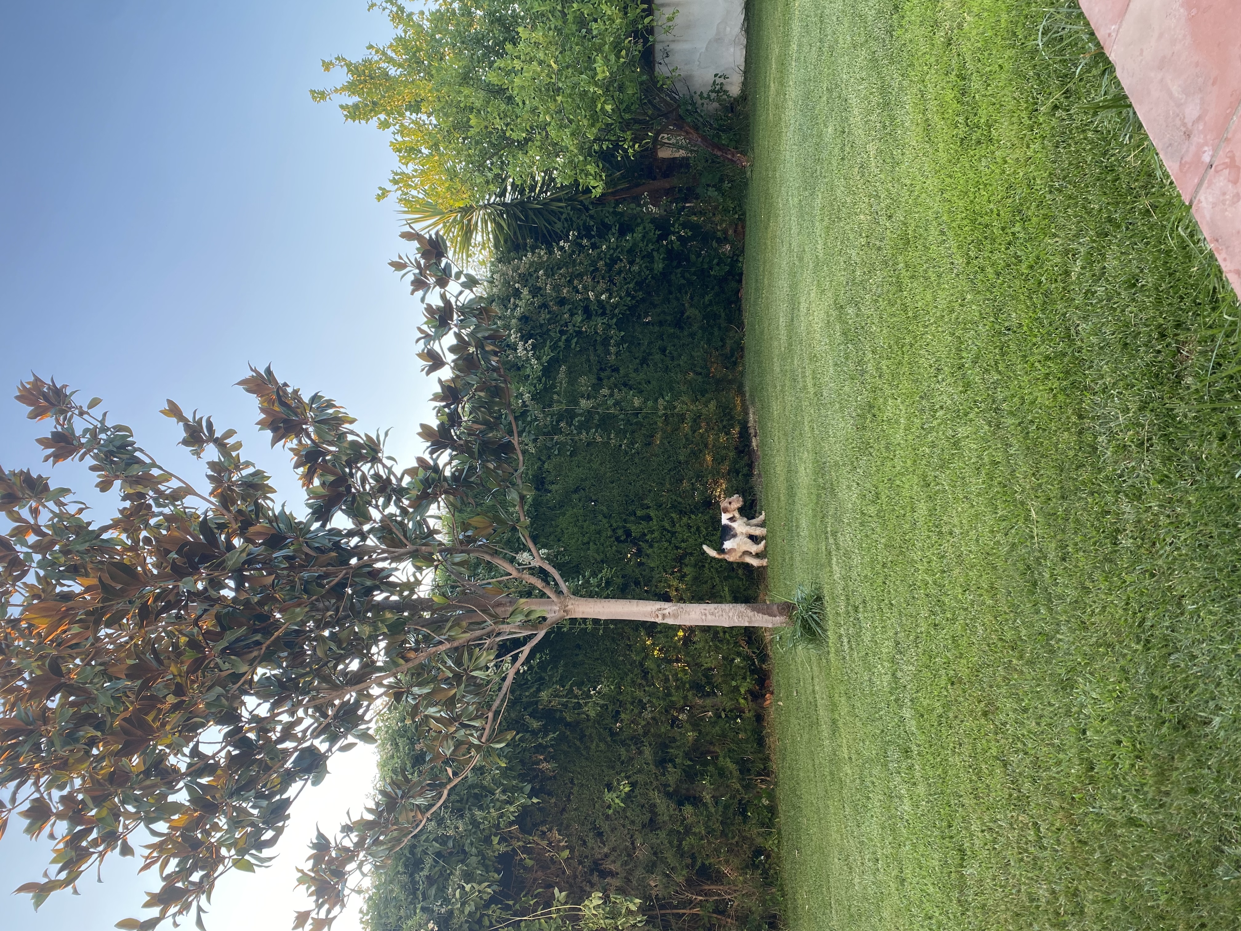 image-13