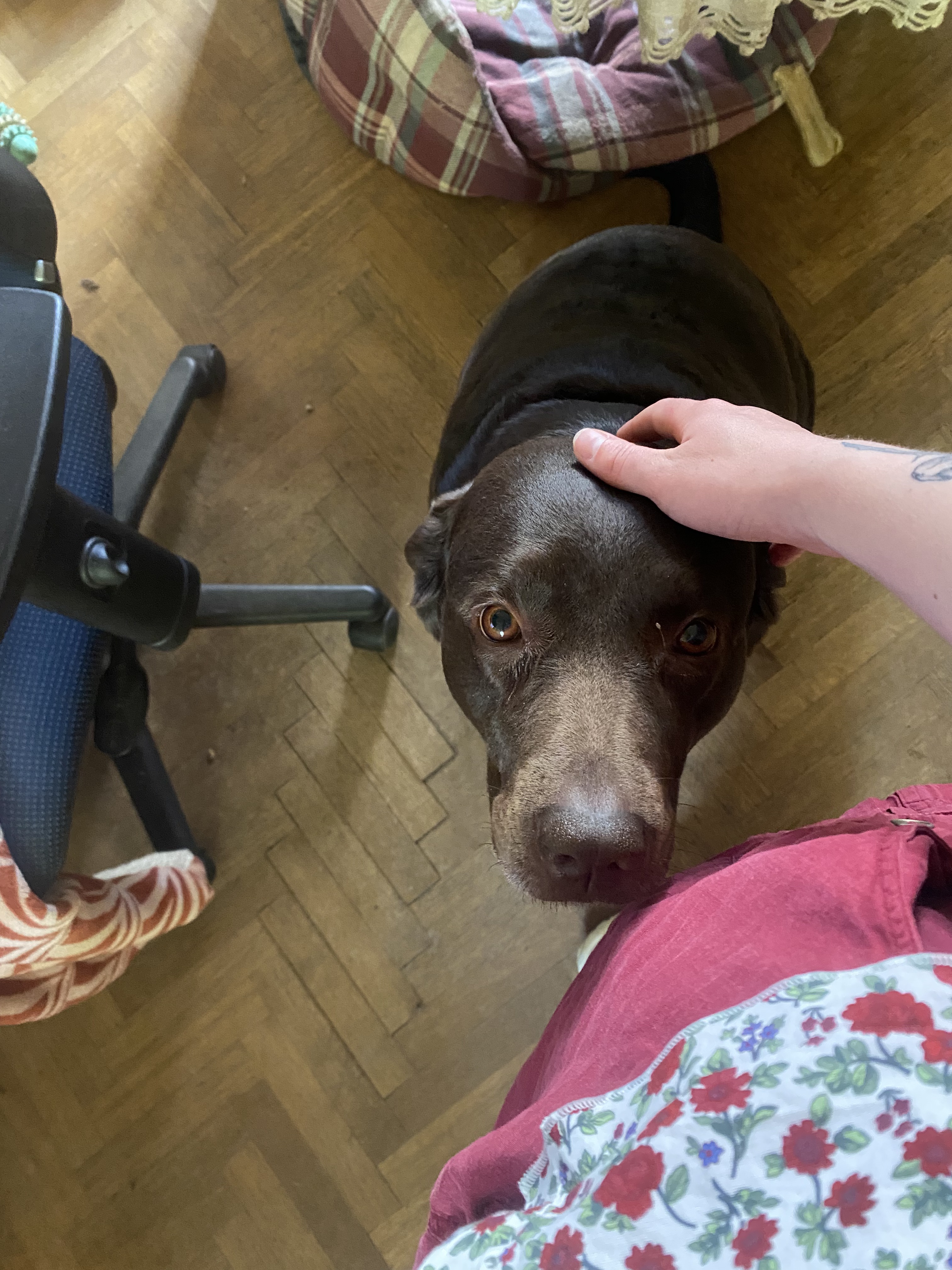 image-1