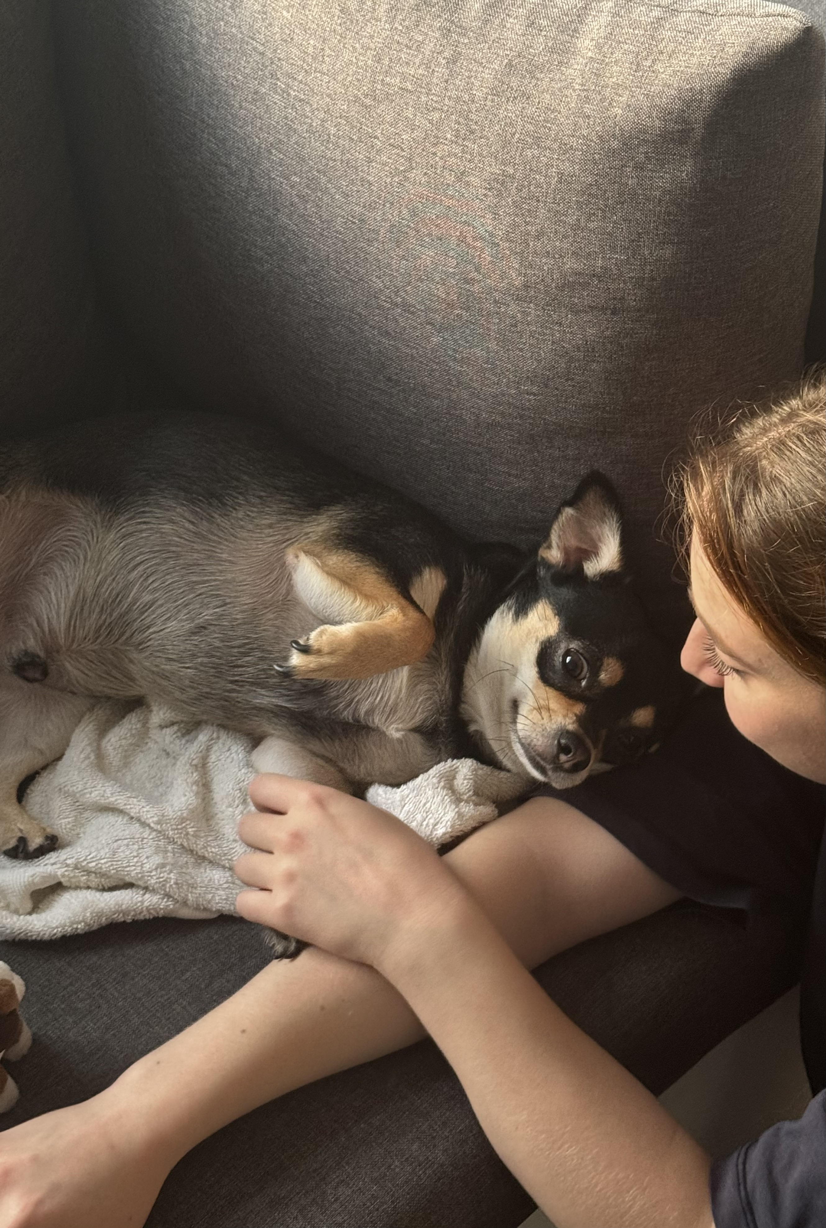 image-3