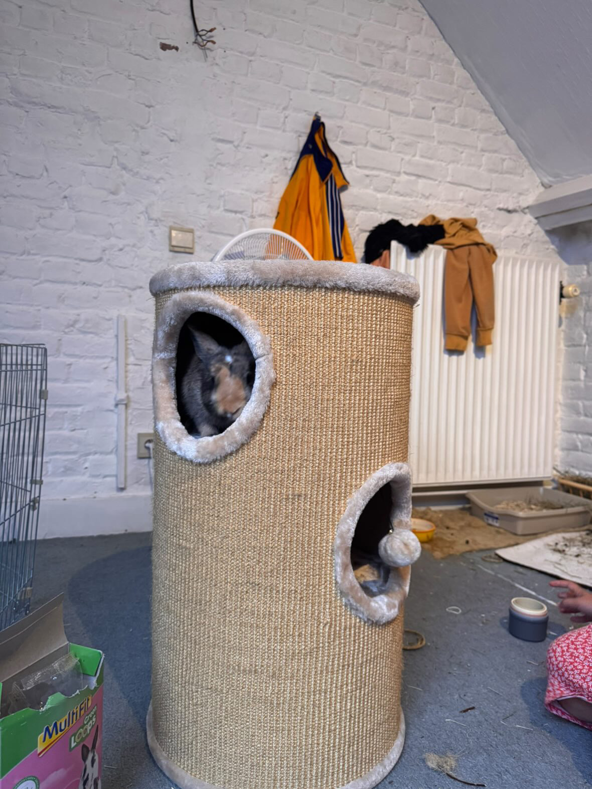 image-9