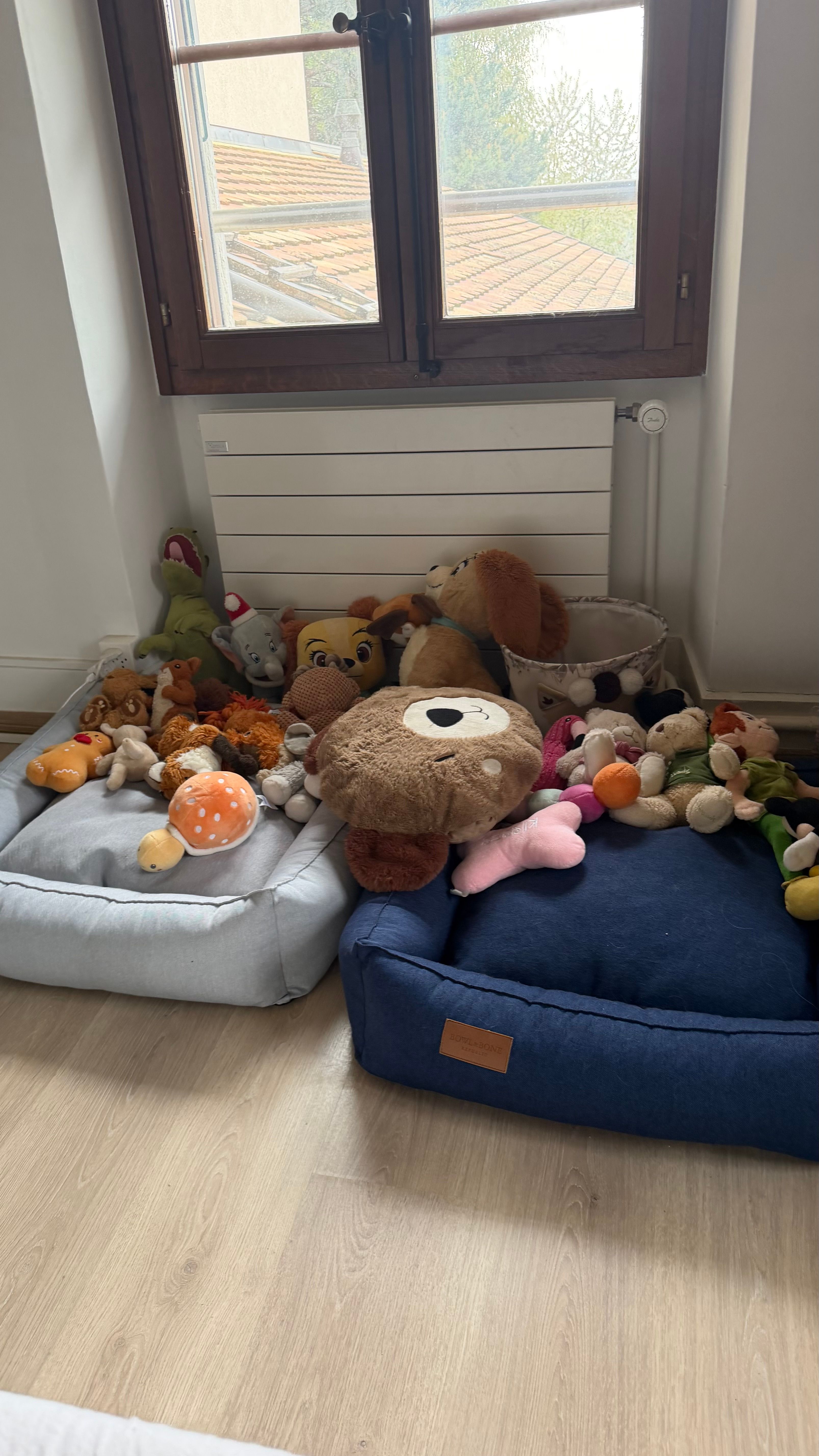 image-13