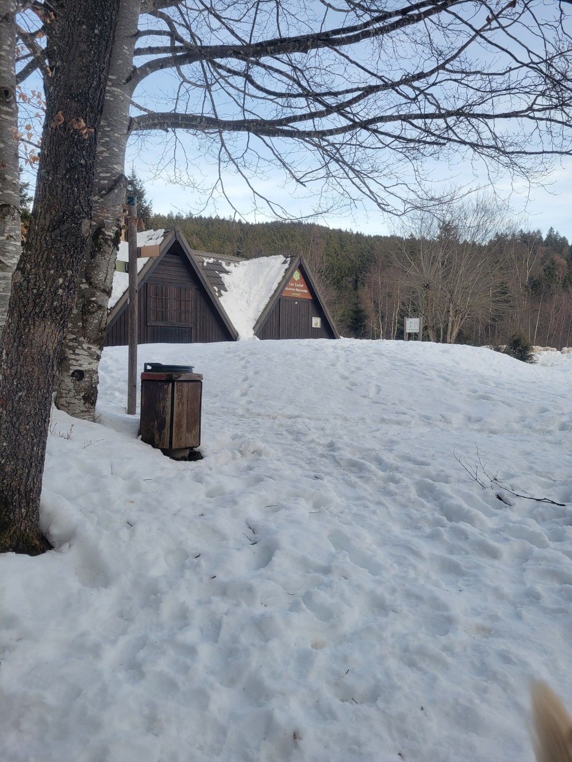 image-19