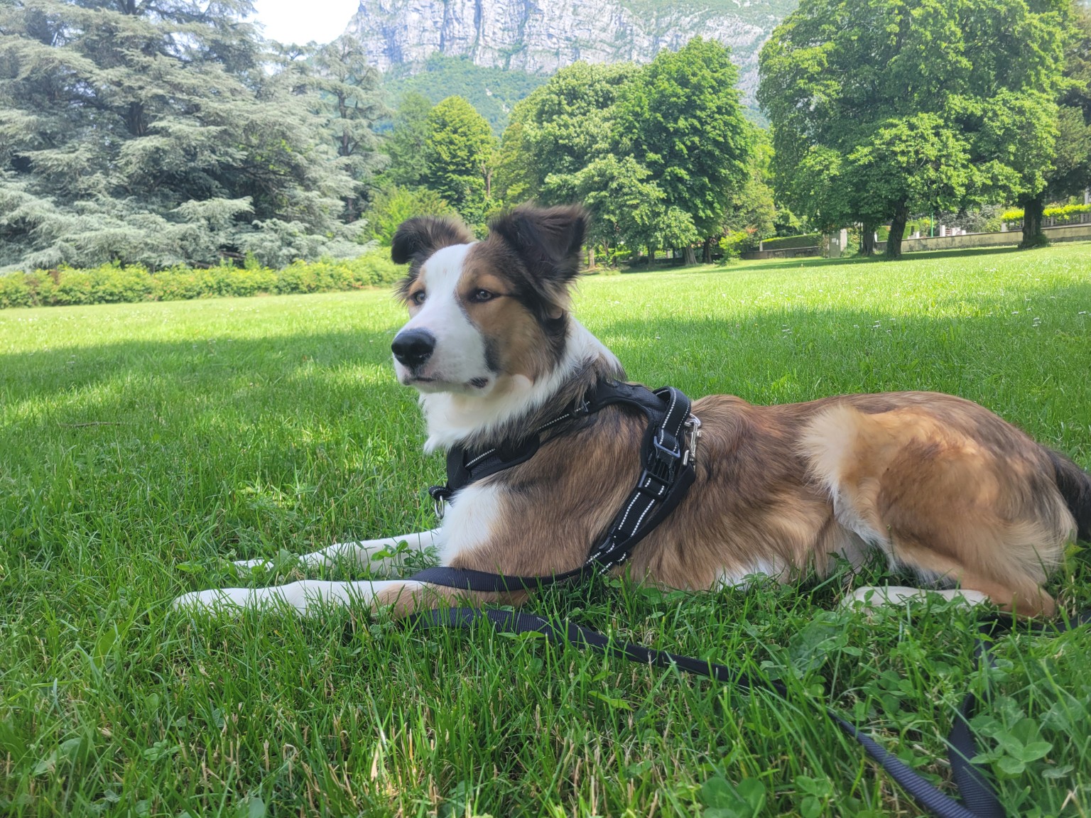 image-17