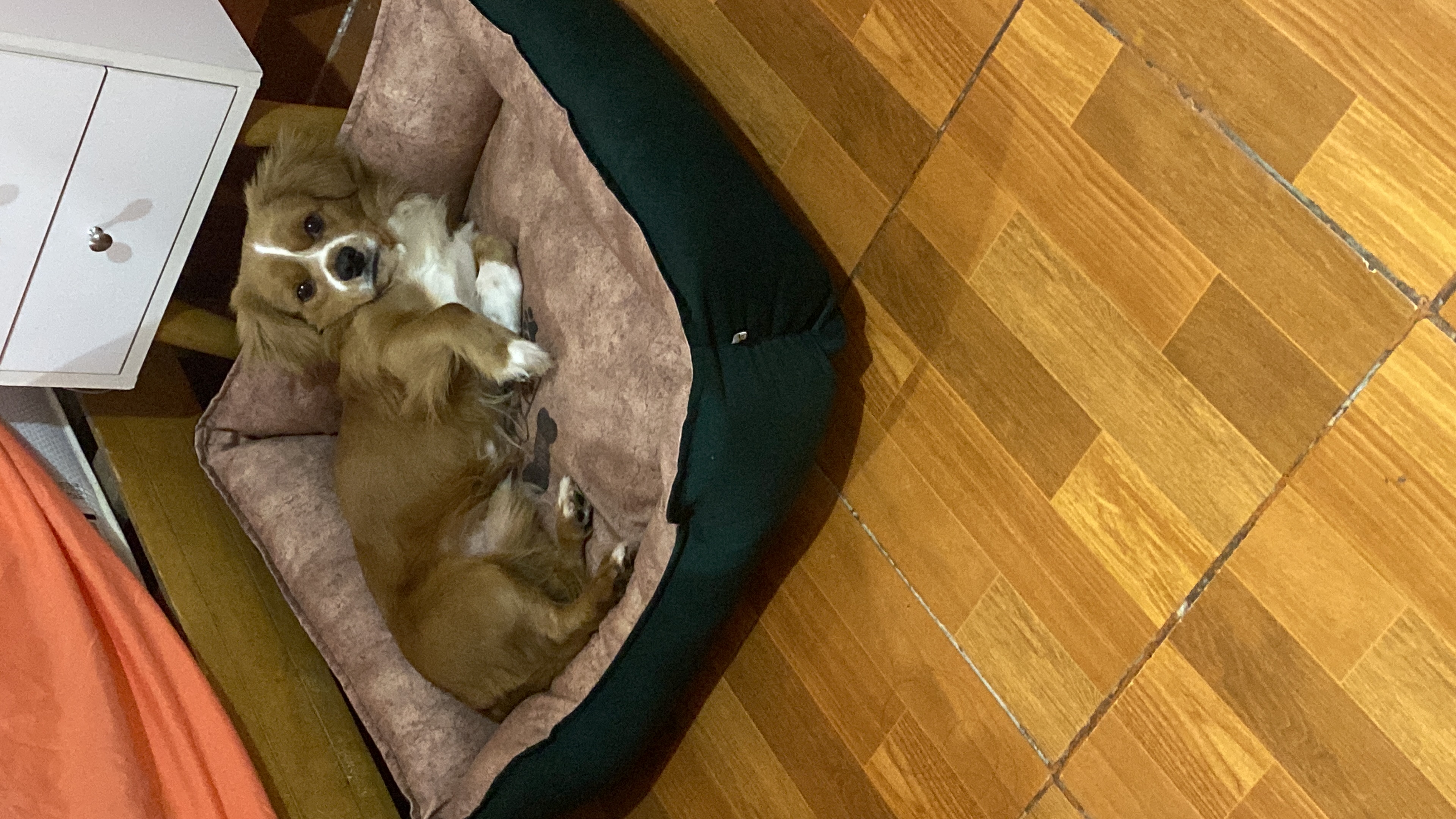 image-6