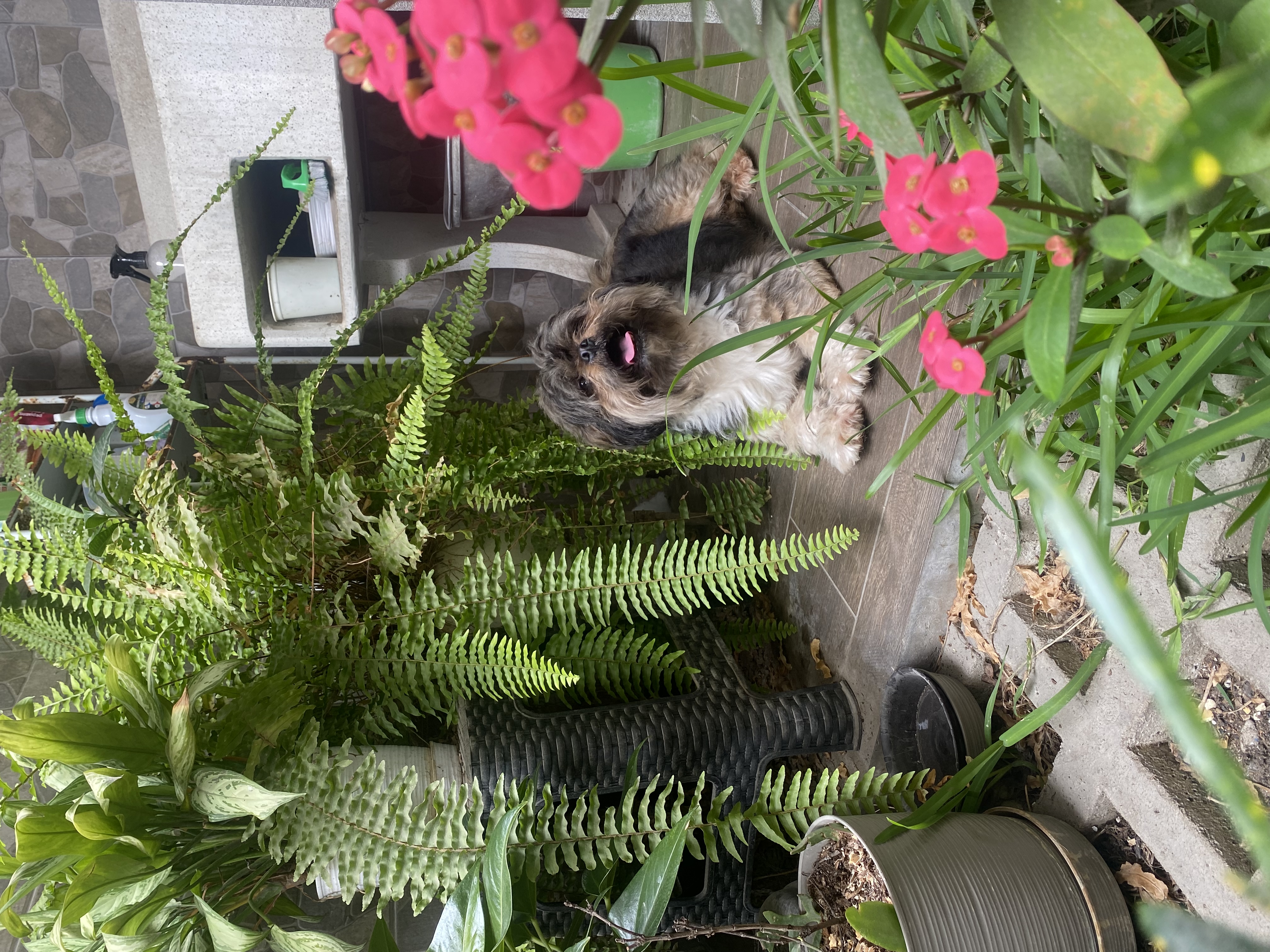 image-11