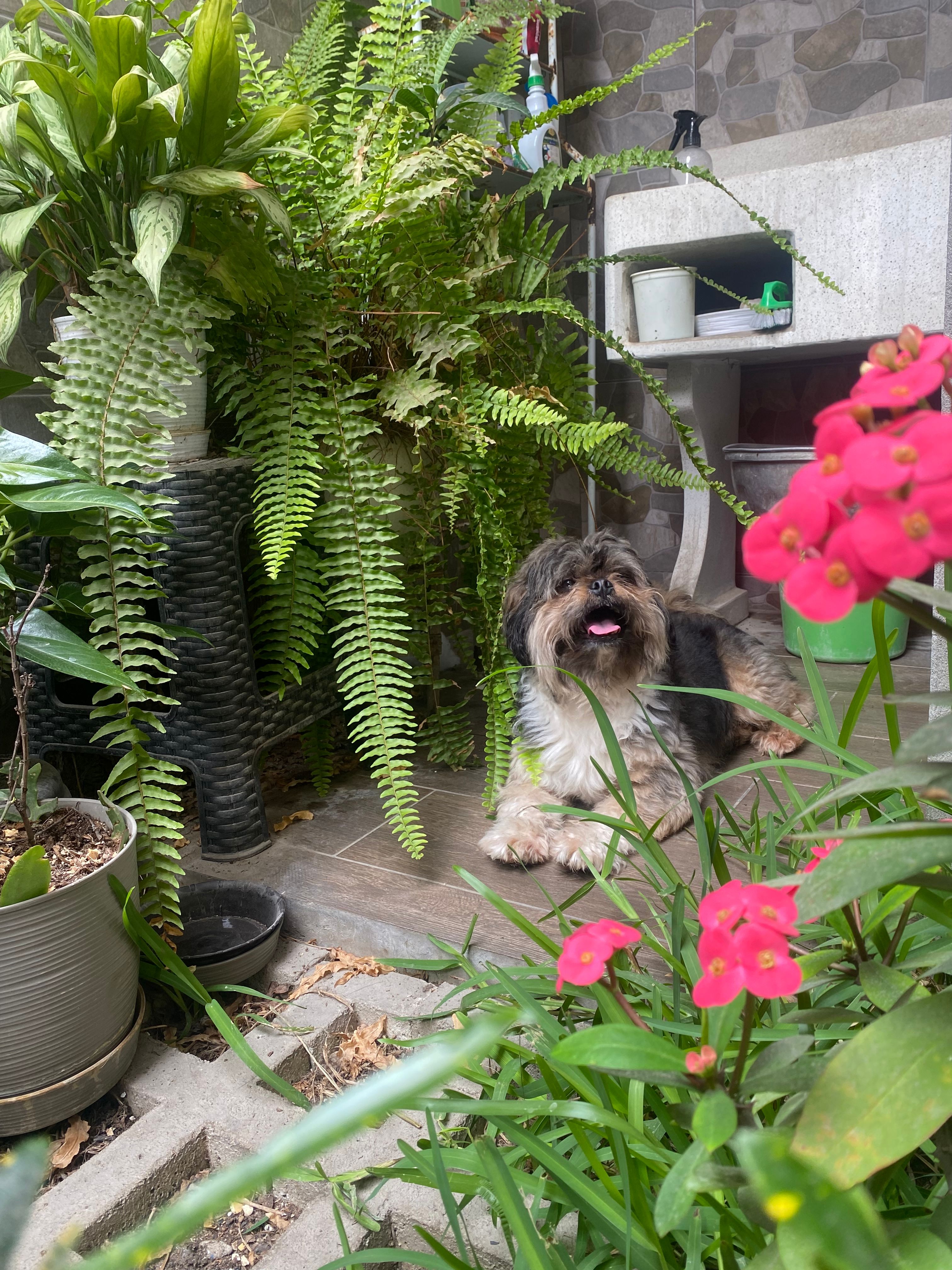image-11
