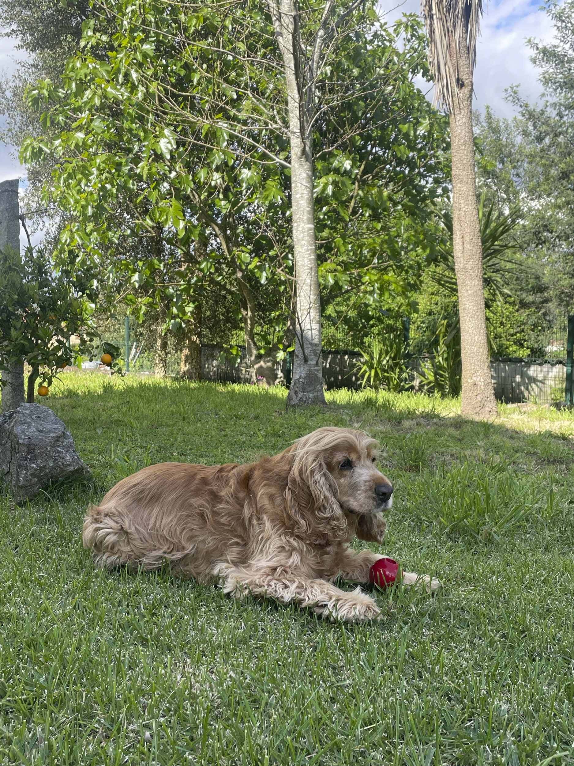 image-4