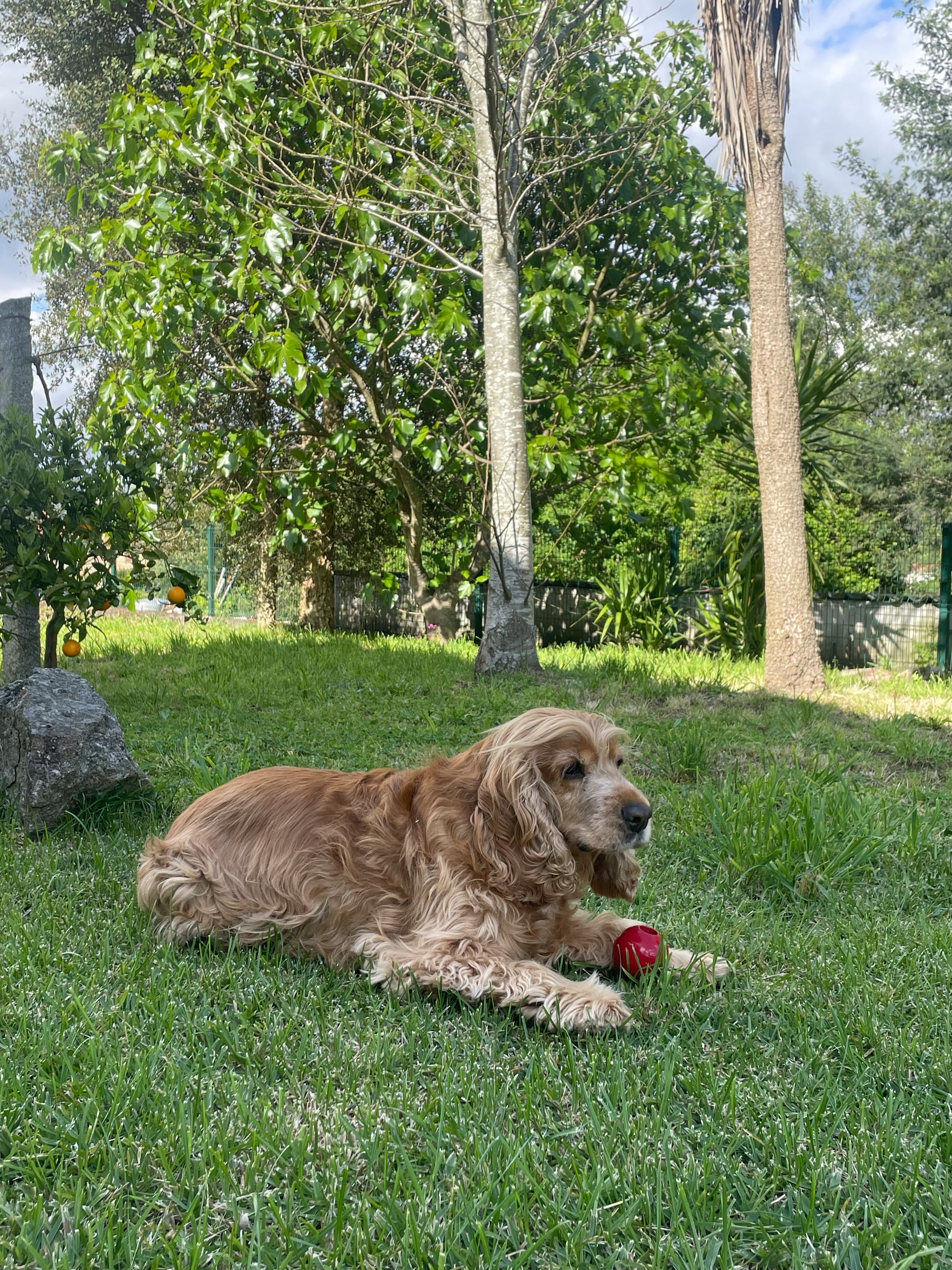 image-4