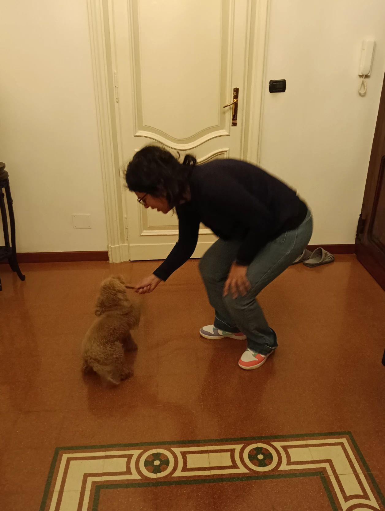 image-7