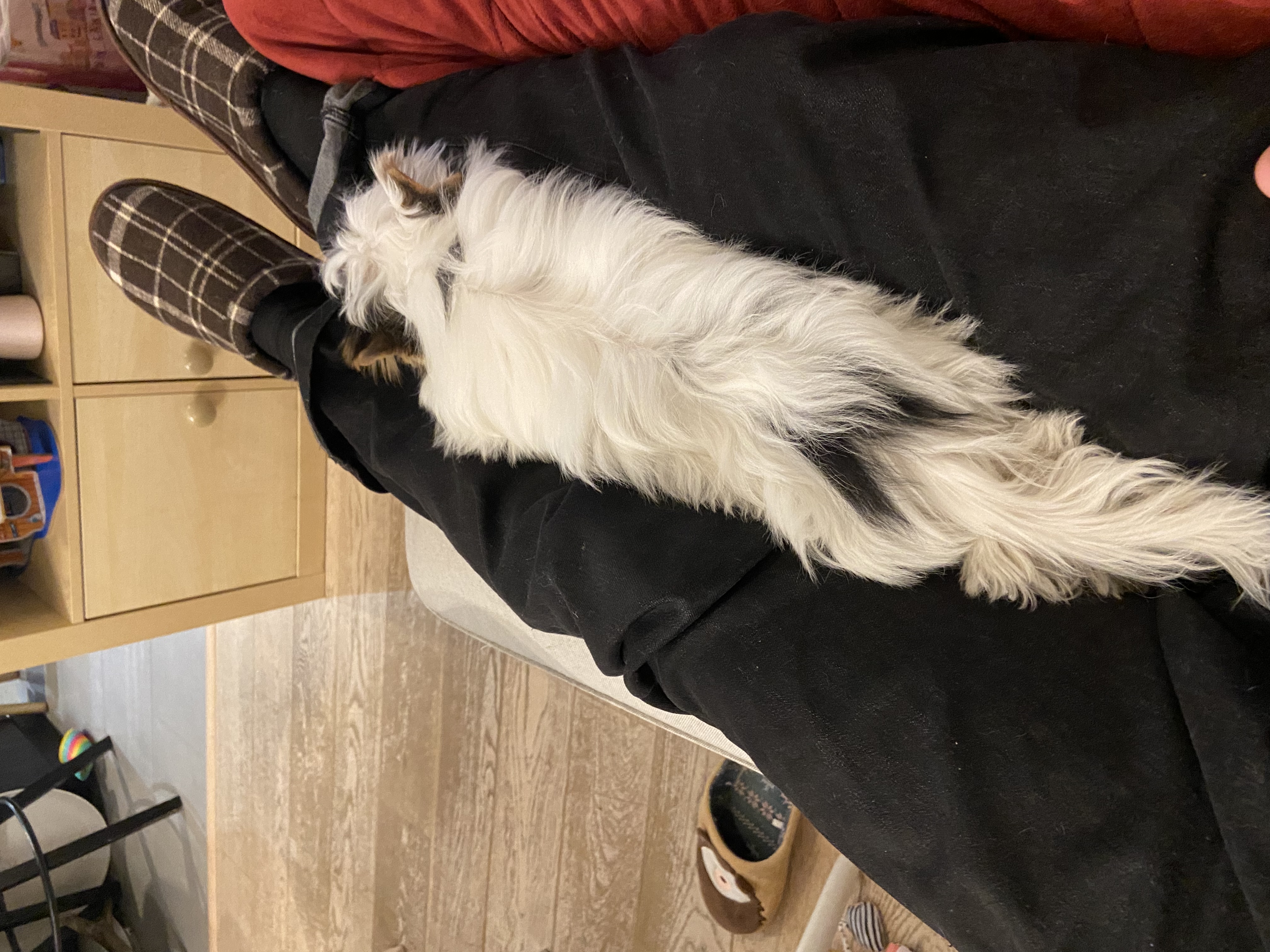 image-10