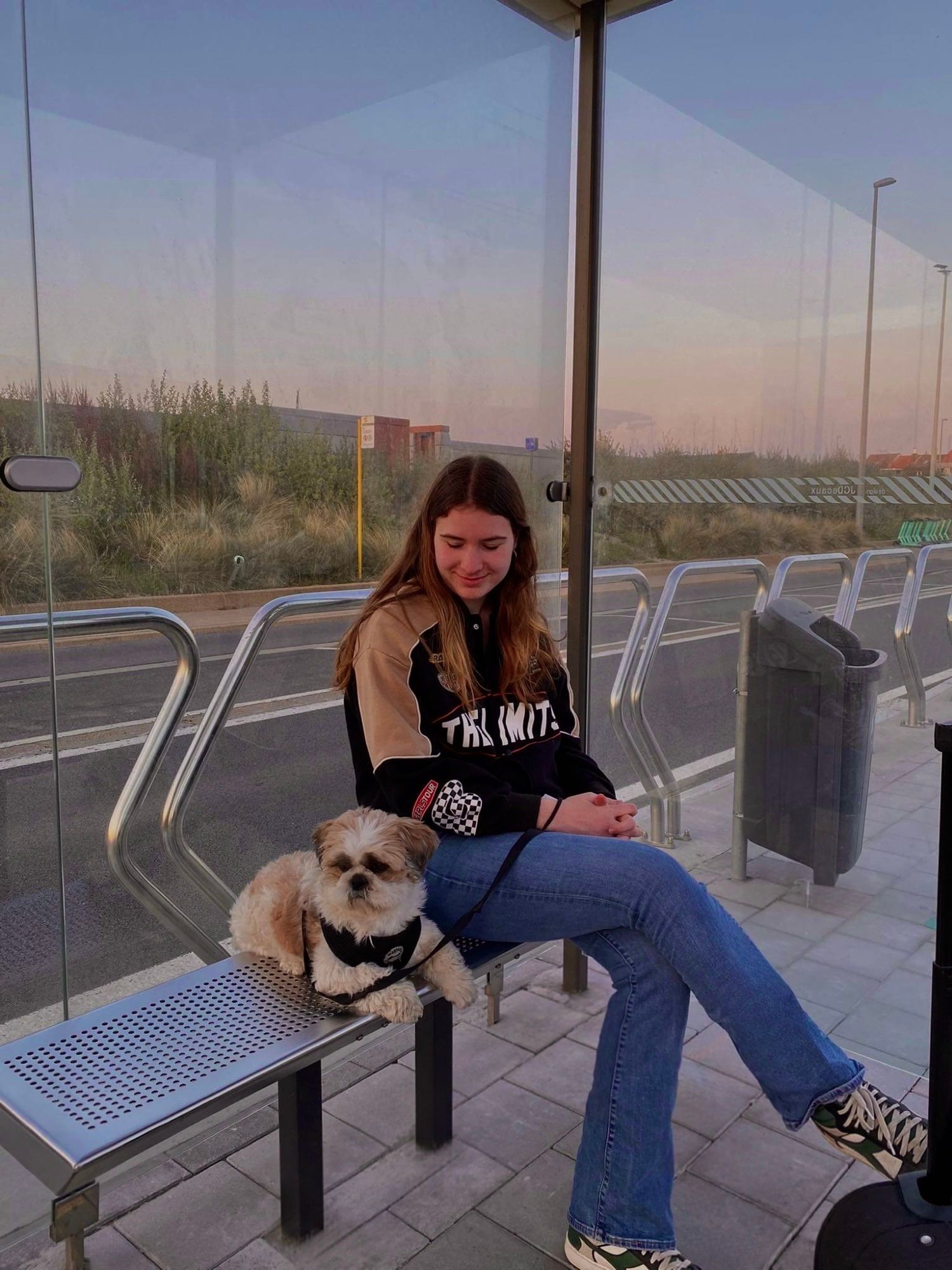 image-8