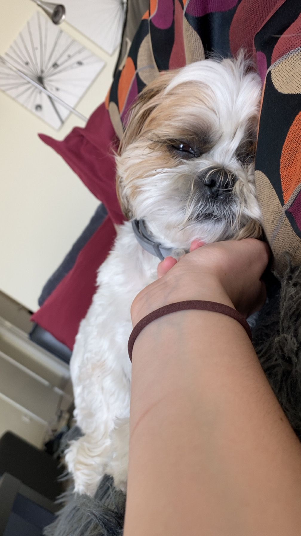 image-12