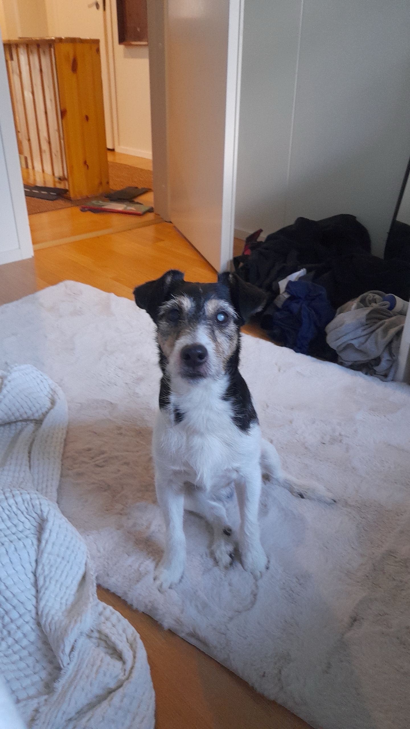 image-8