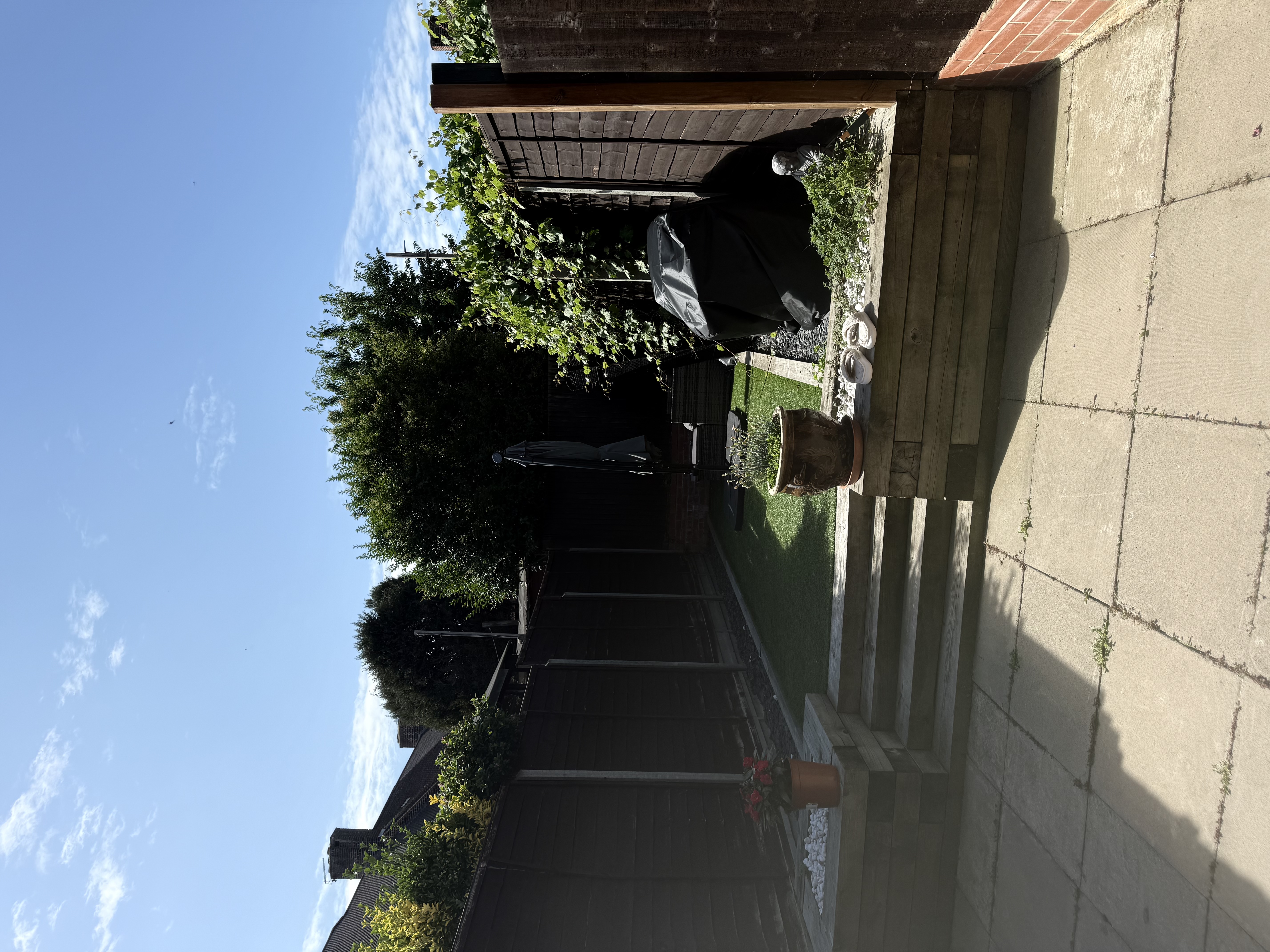 image-18
