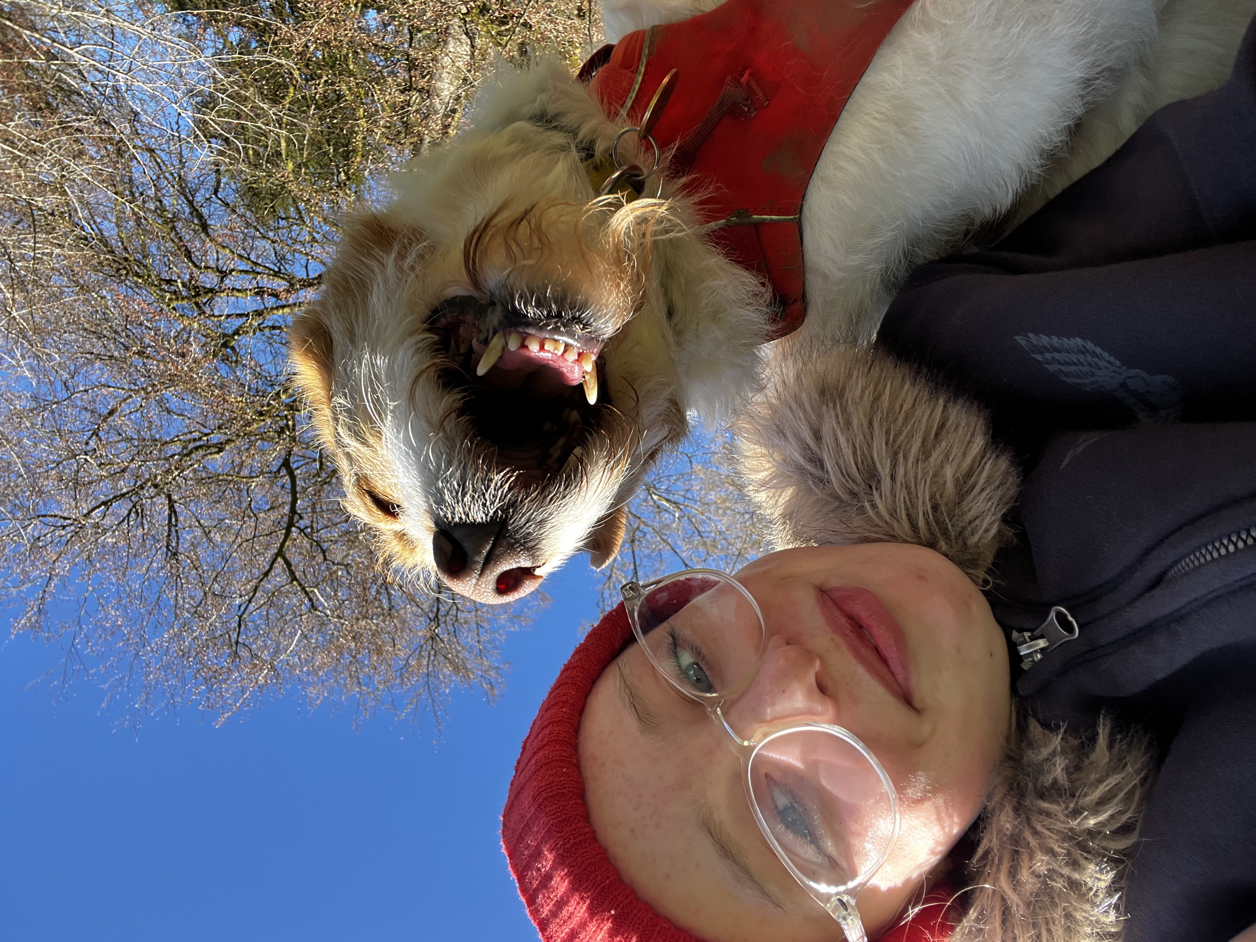 image-4