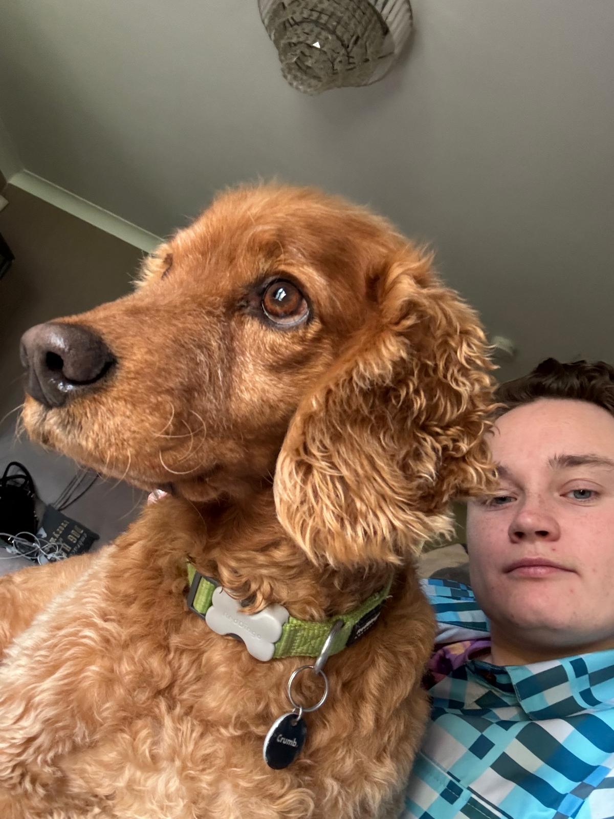 image-11